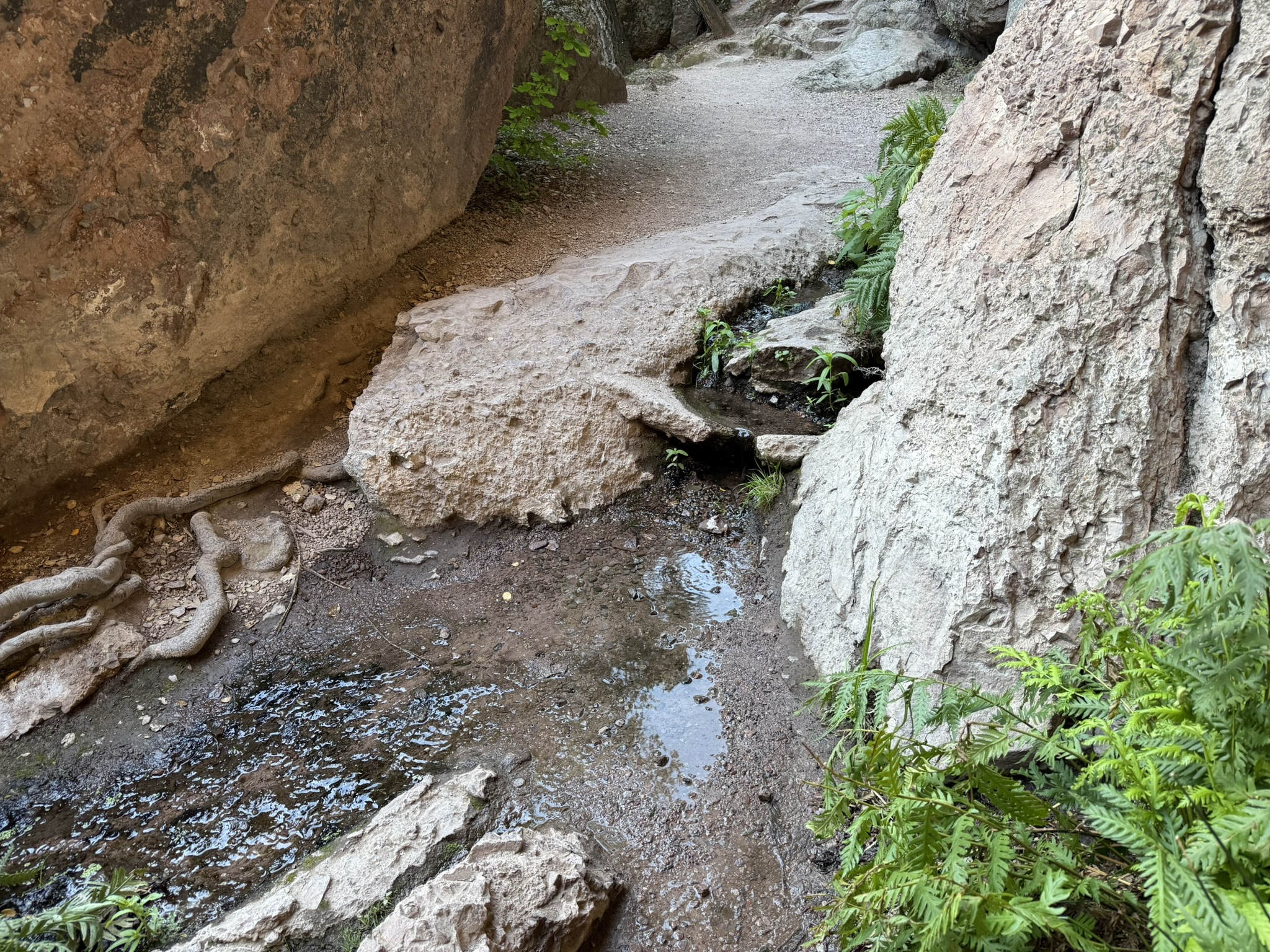 Pinnacles National Park