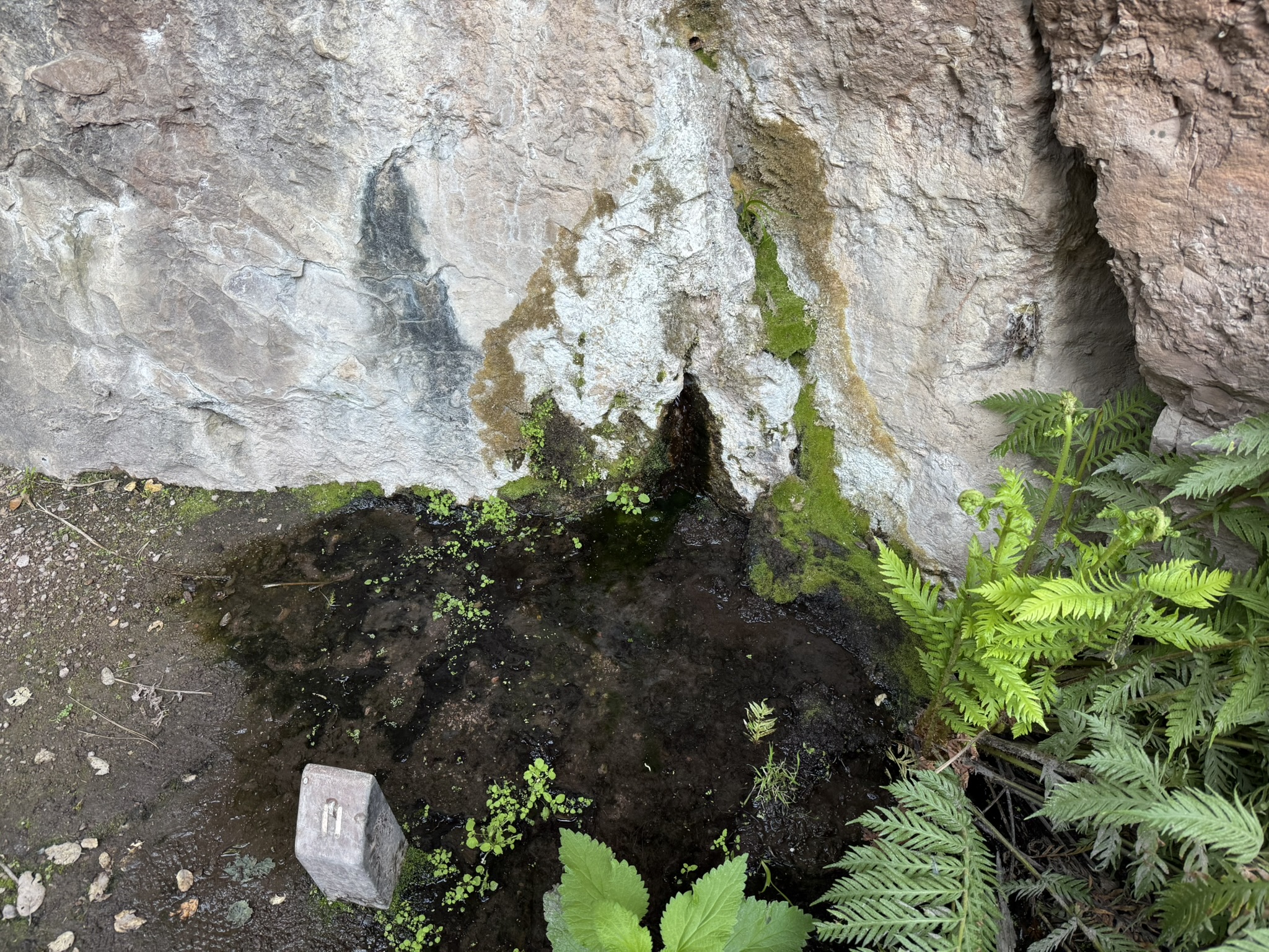 Pinnacles National Park