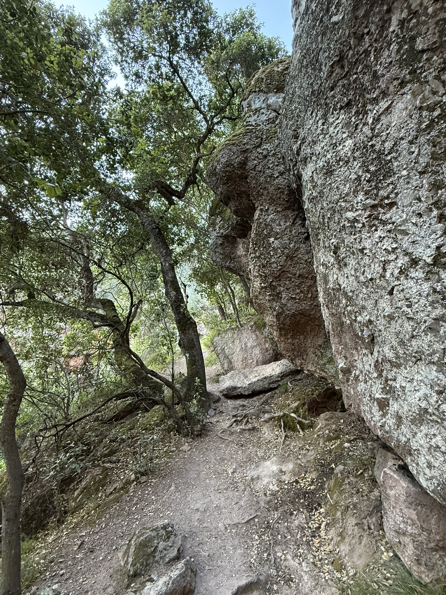 Pinnacles National Park