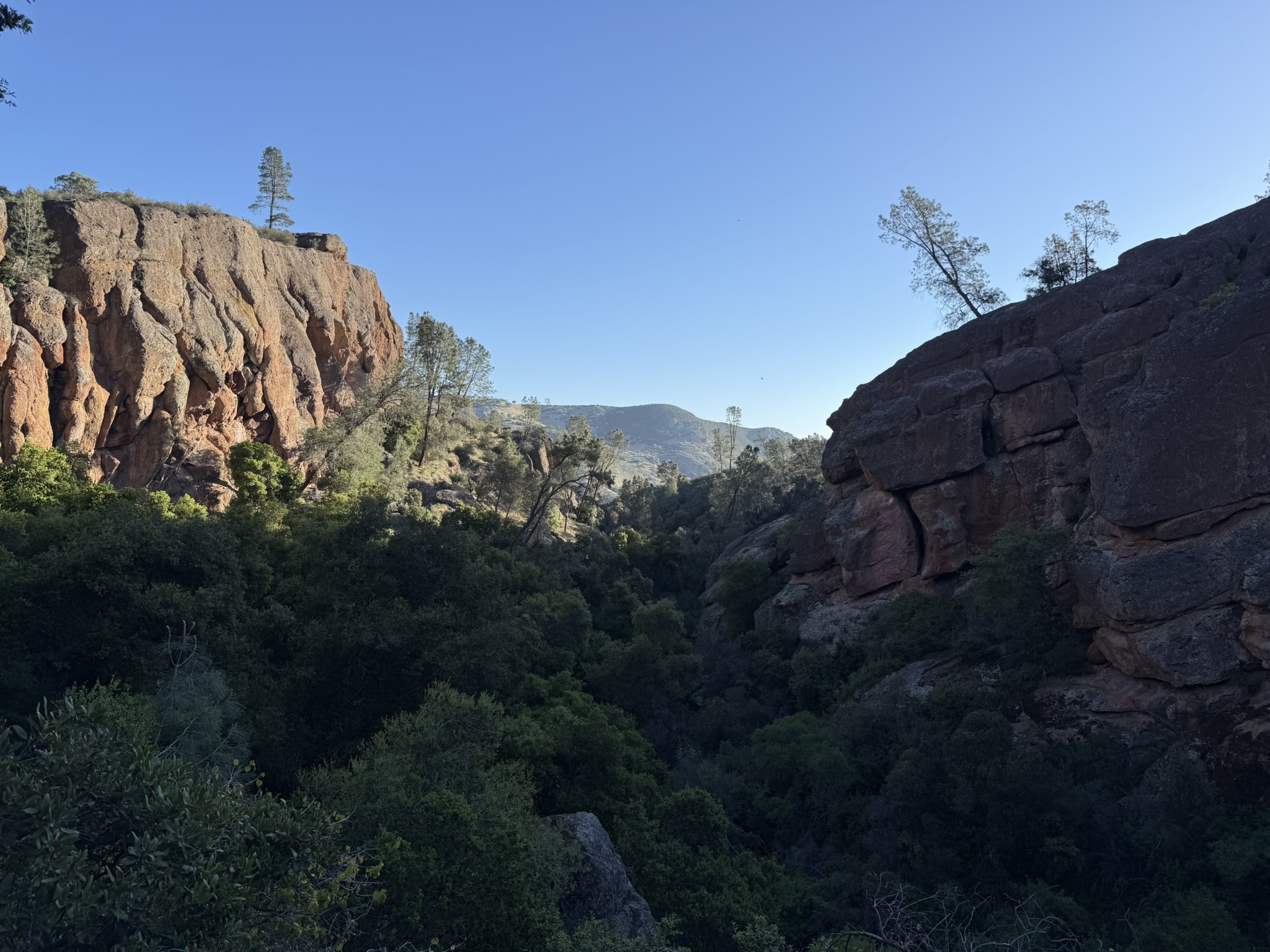 Pinnacles National Park