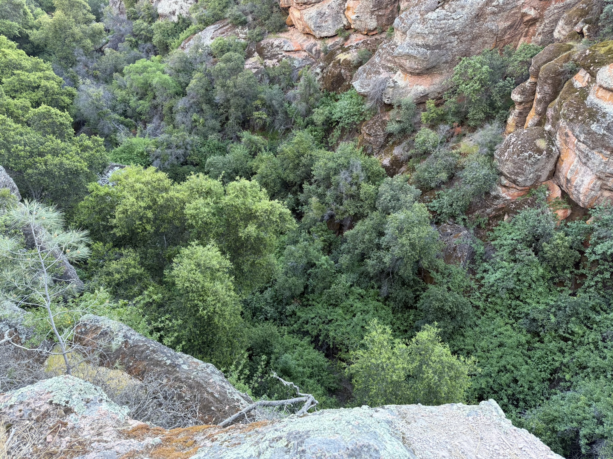 Pinnacles National Park