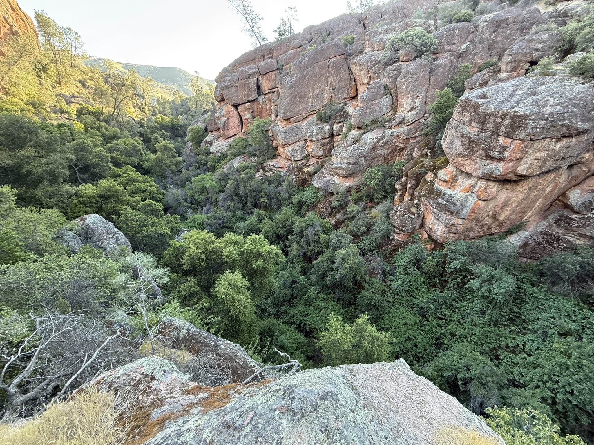 Pinnacles National Park