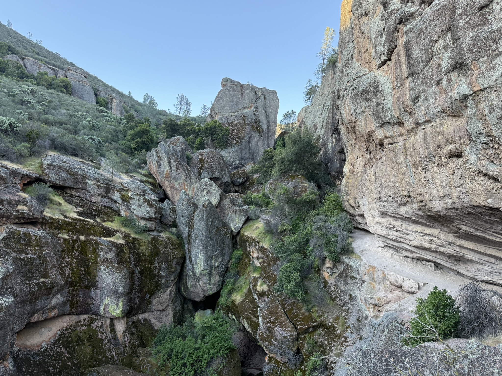 Pinnacles National Park