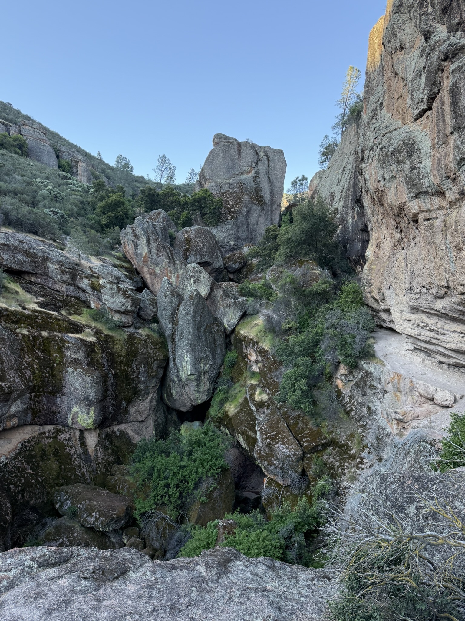Pinnacles National Park