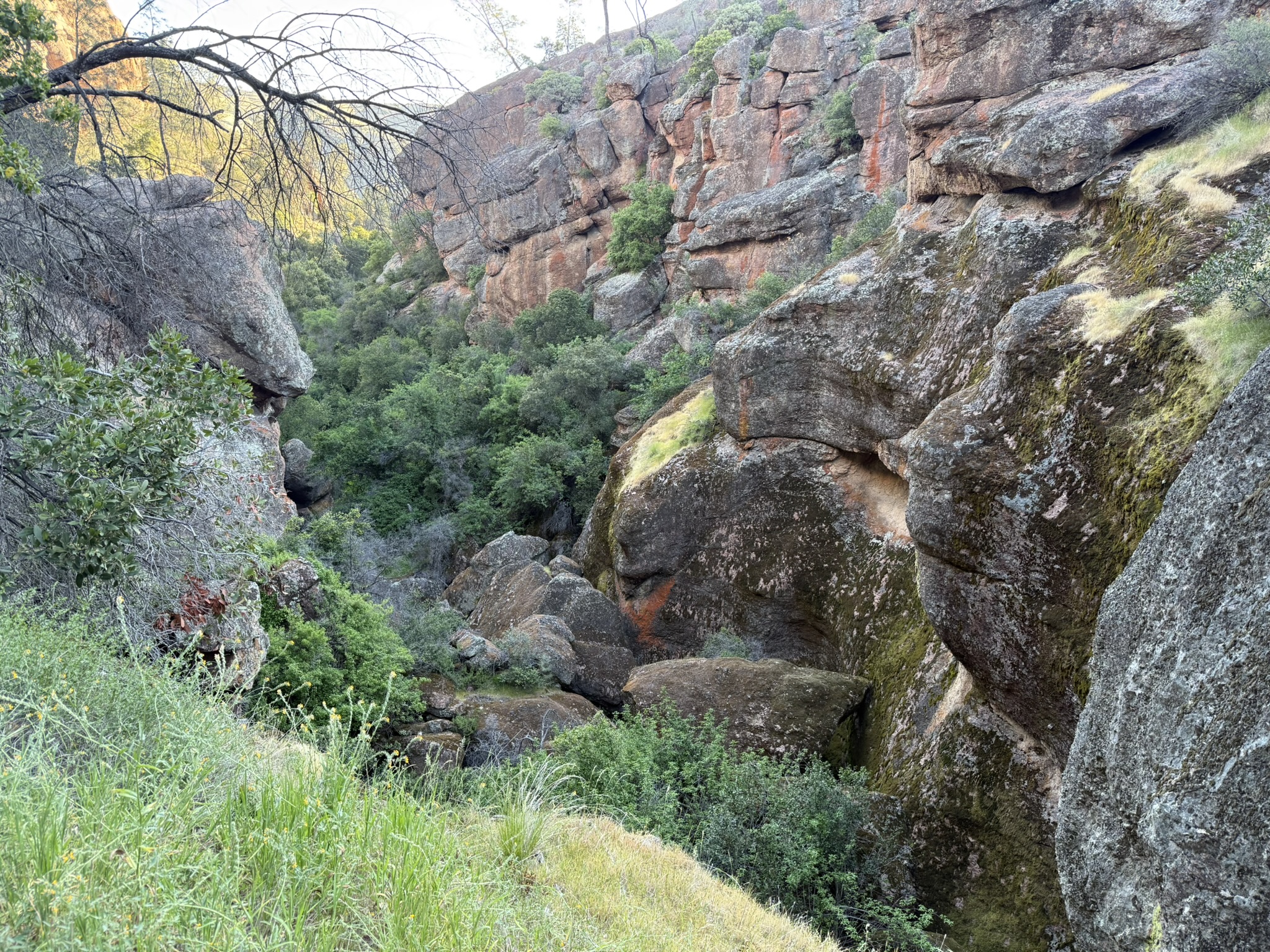 Pinnacles National Park