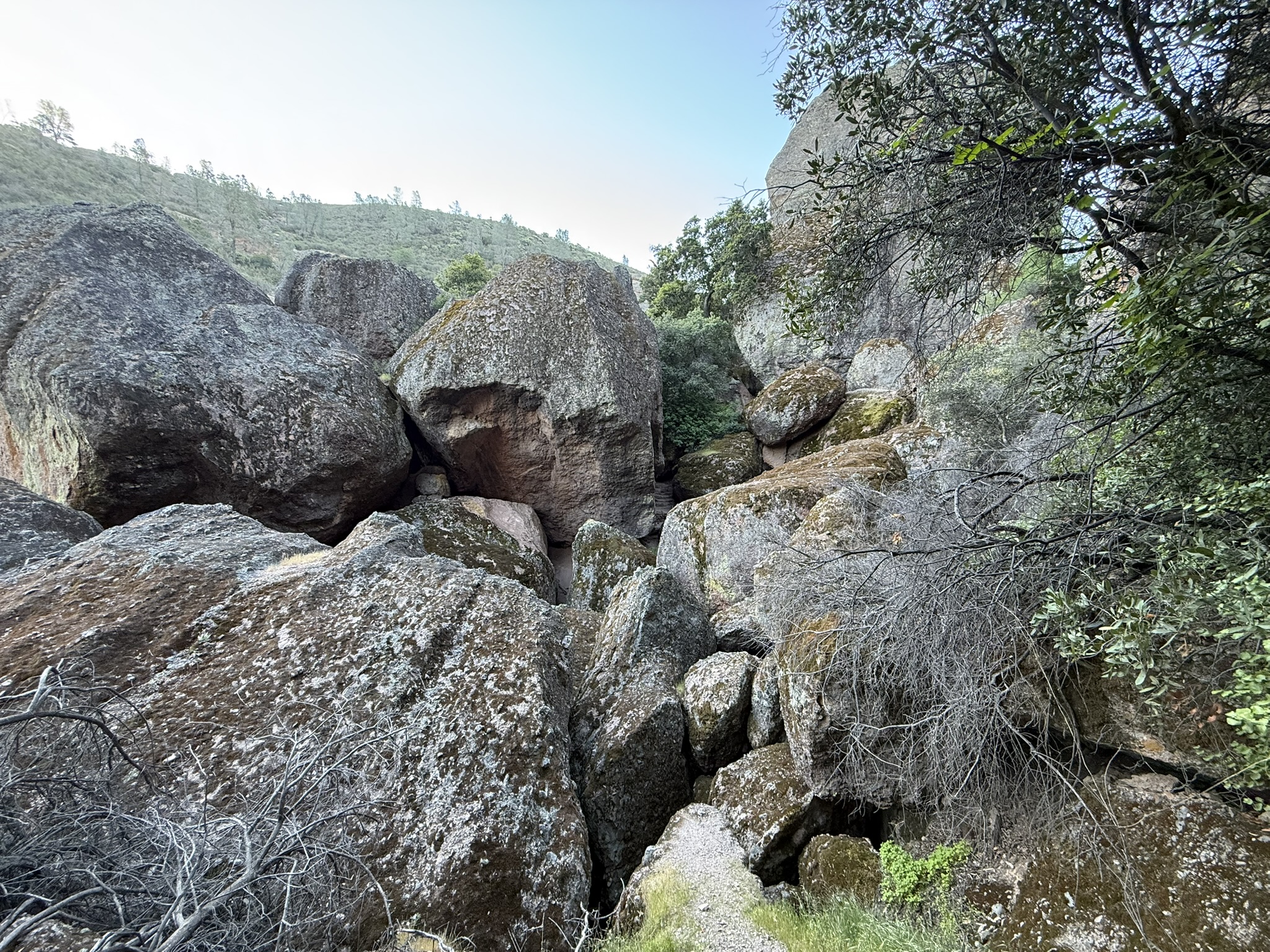 Pinnacles National Park