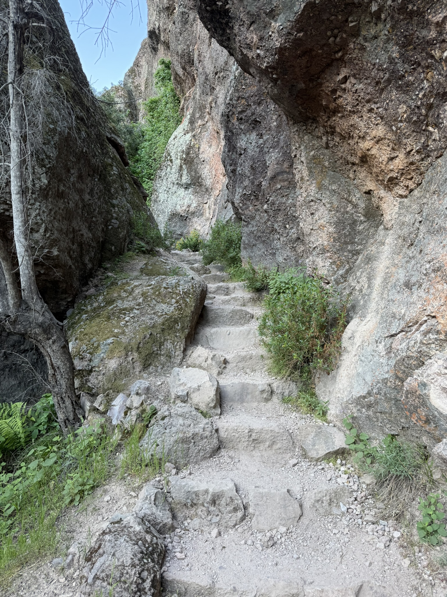 Pinnacles National Park