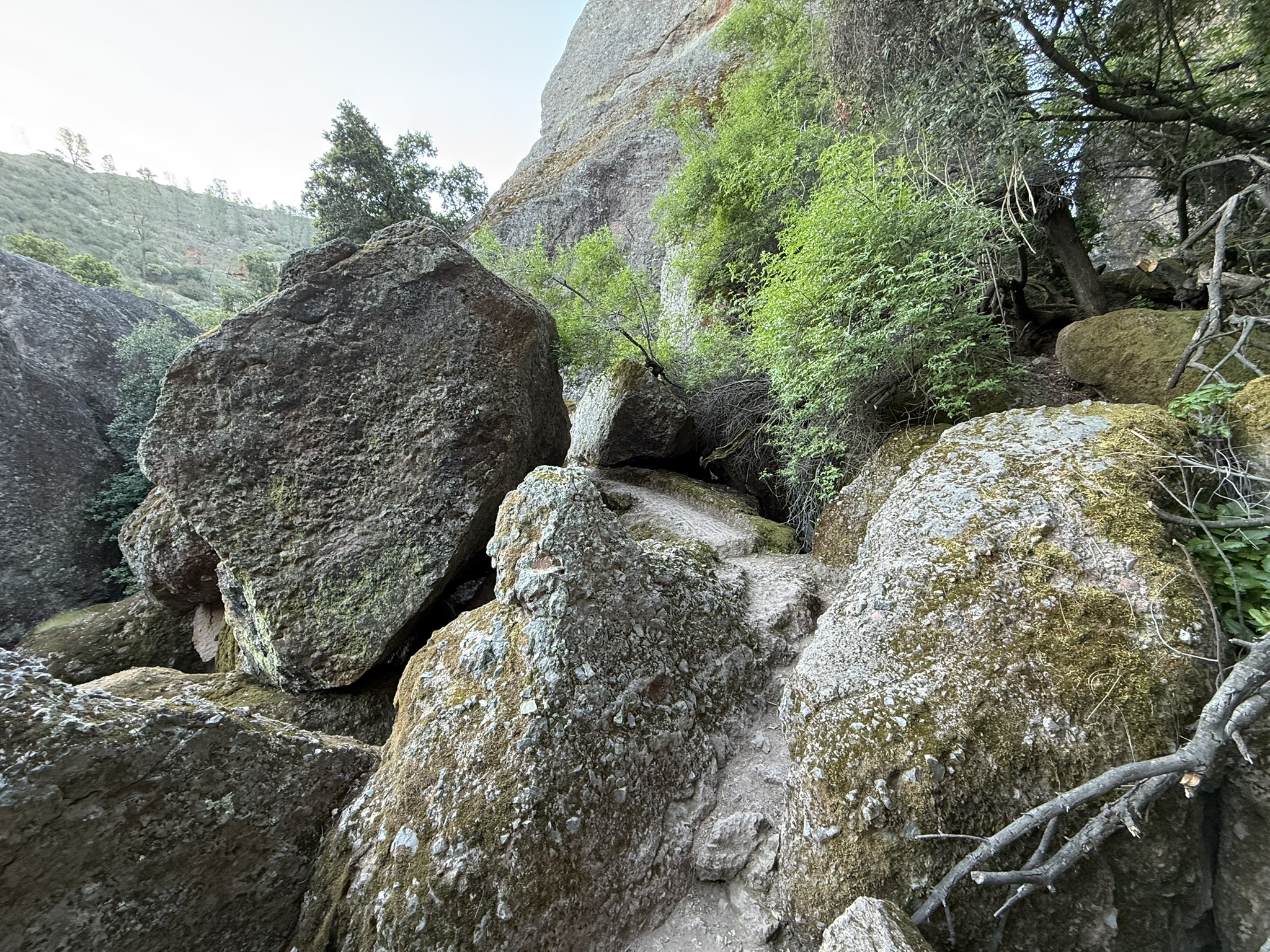 Pinnacles National Park