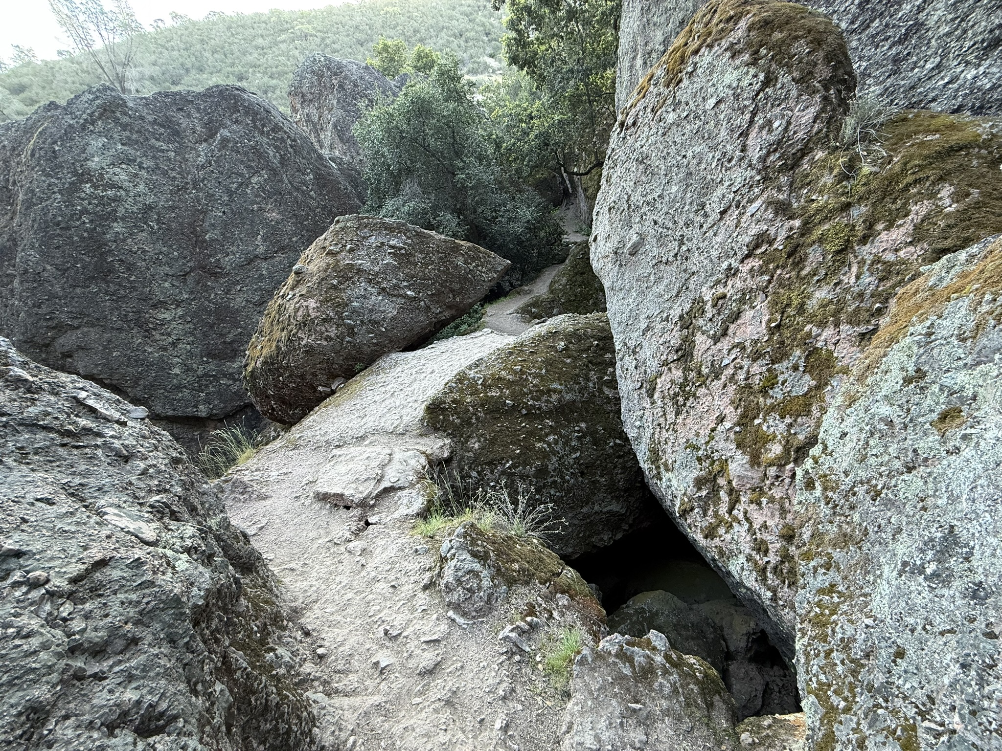 Pinnacles National Park