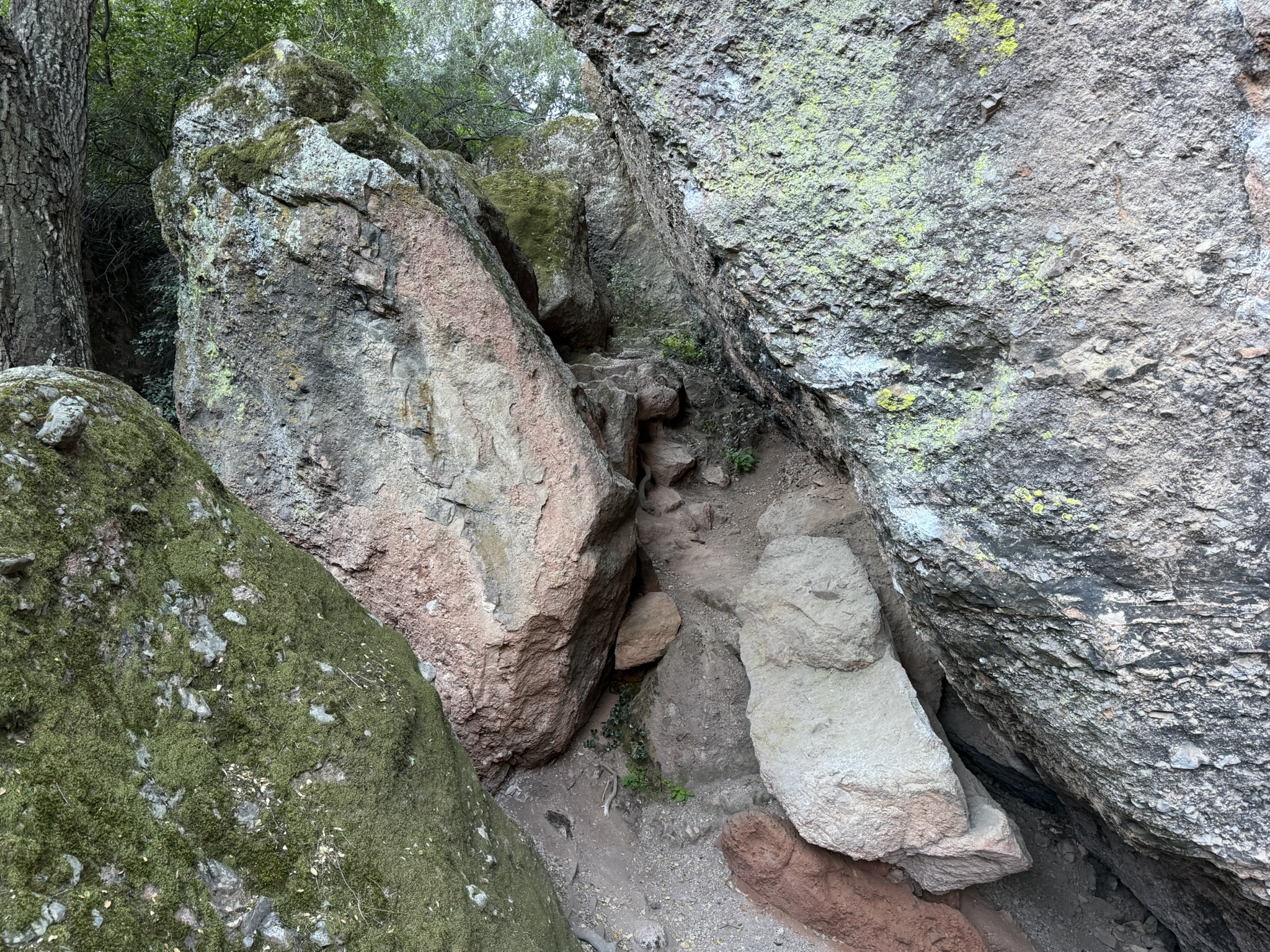 Pinnacles National Park