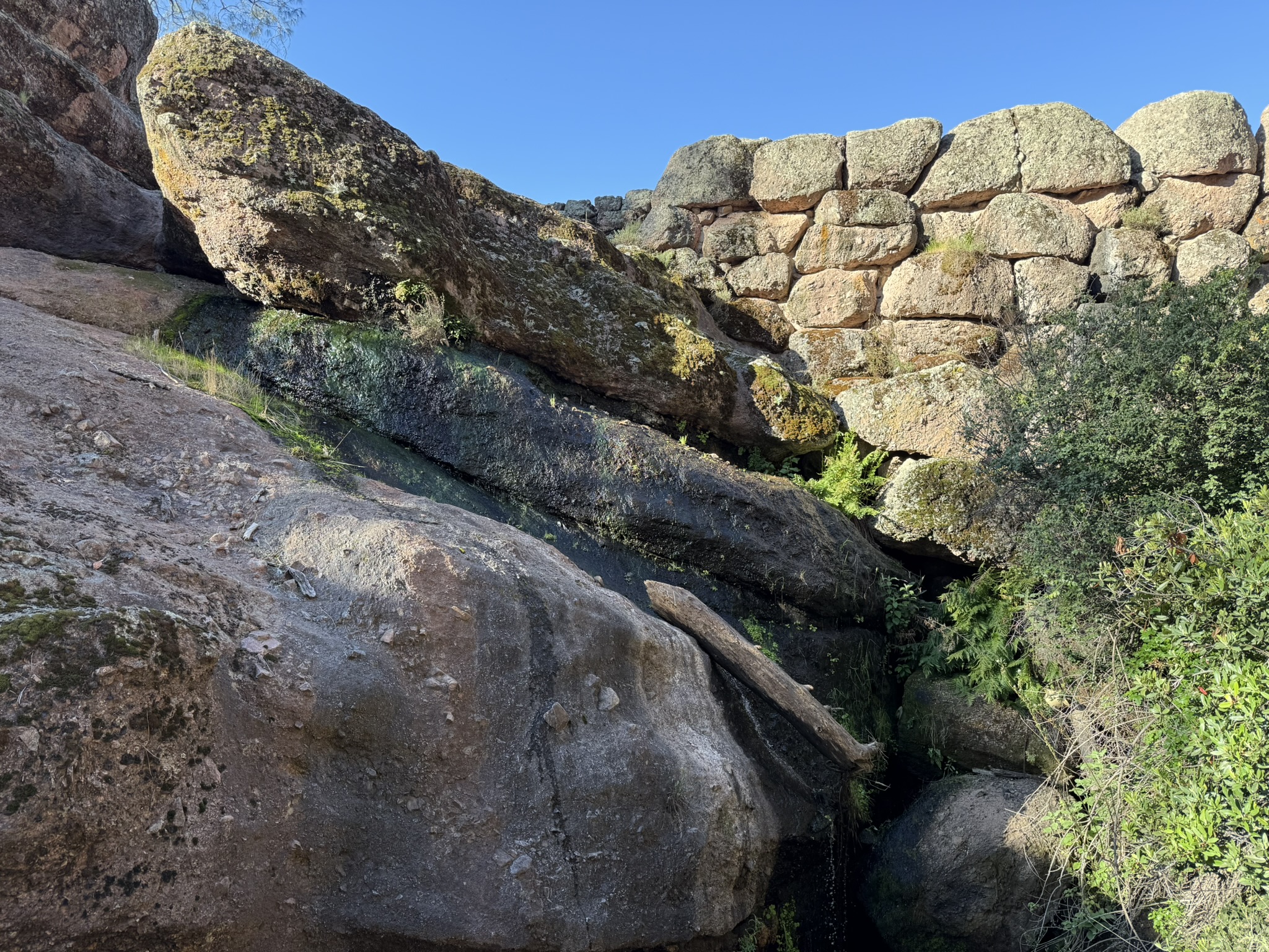 Pinnacles National Park