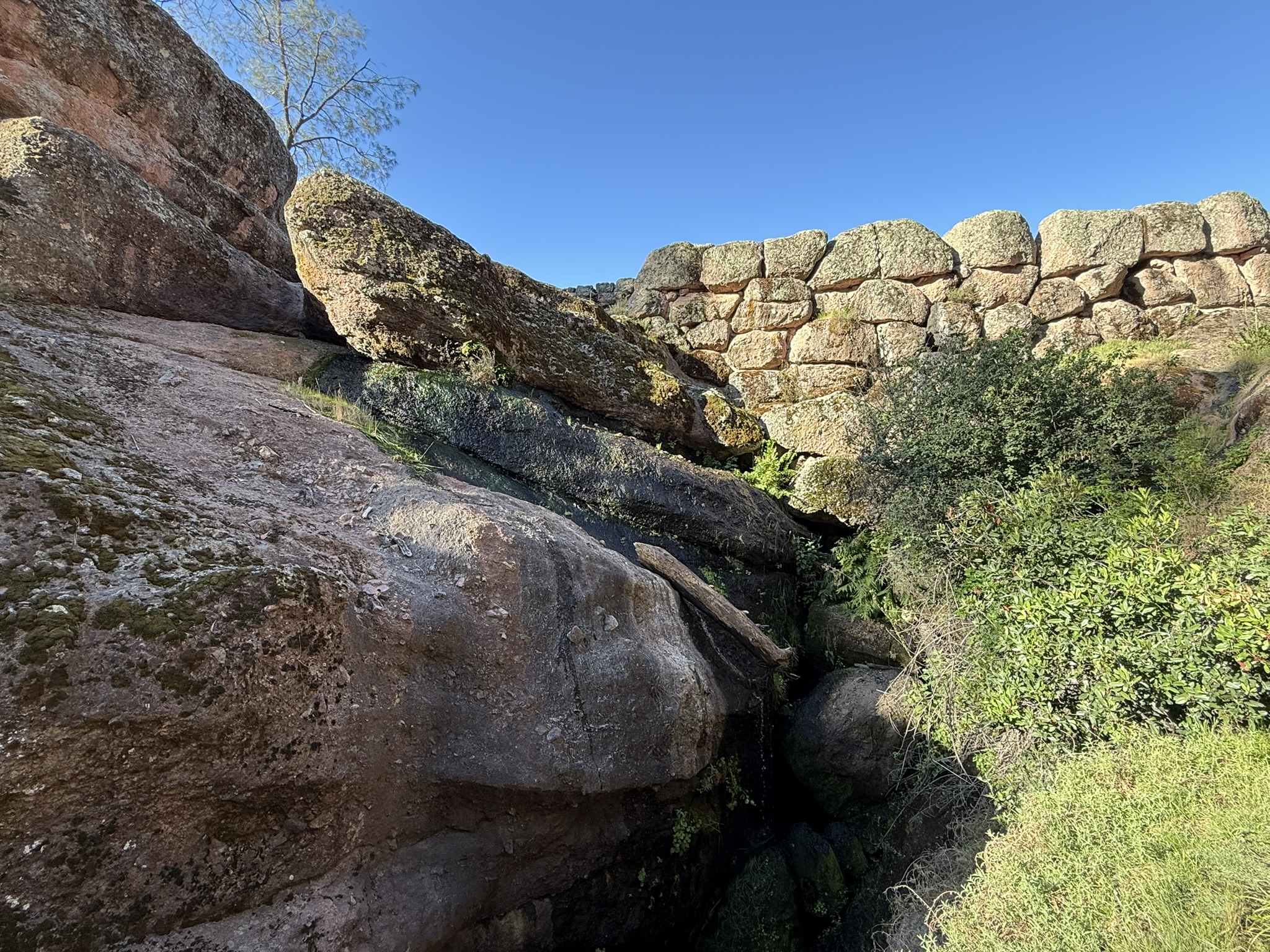 Pinnacles National Park