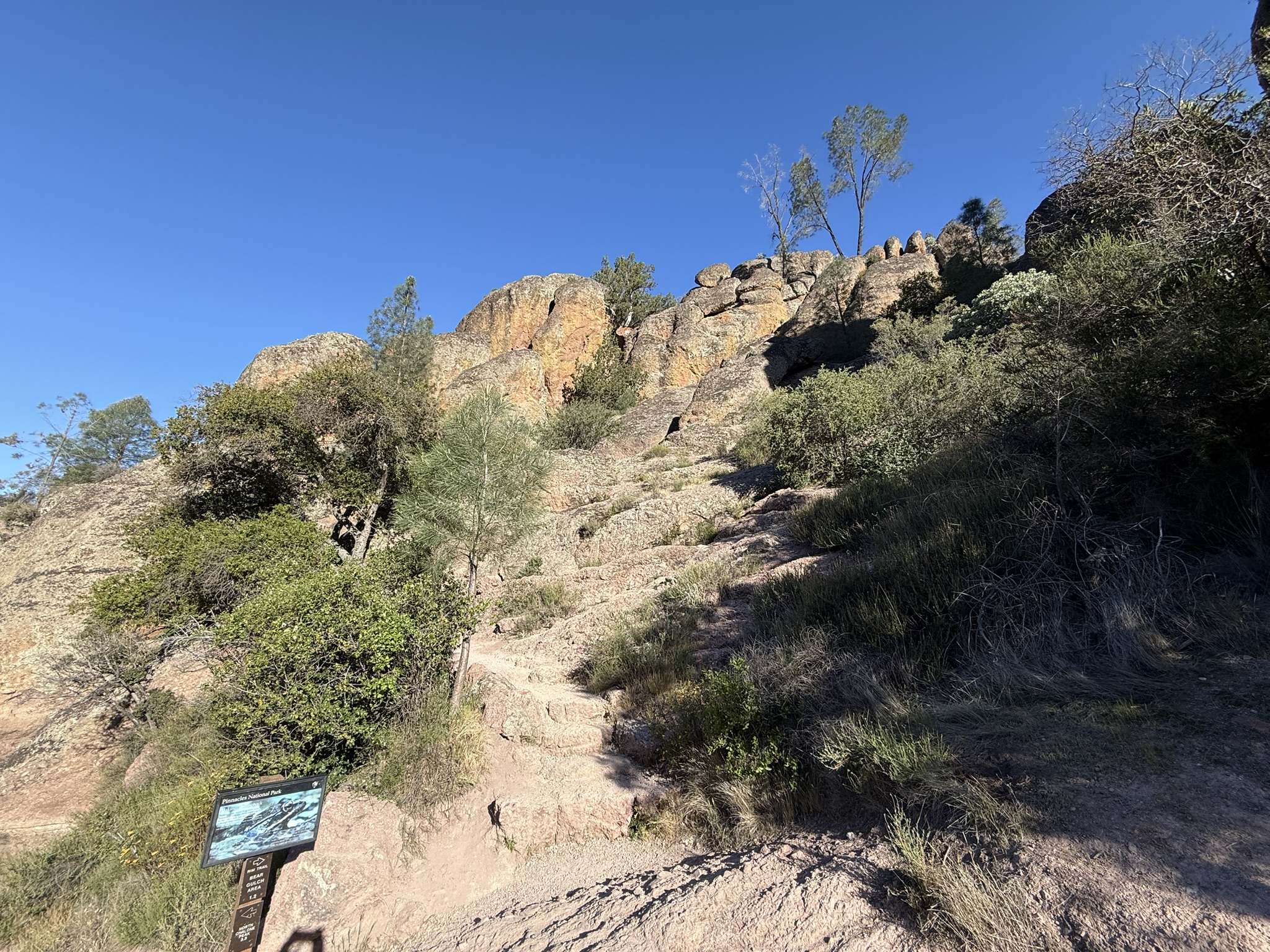 Pinnacles National Park