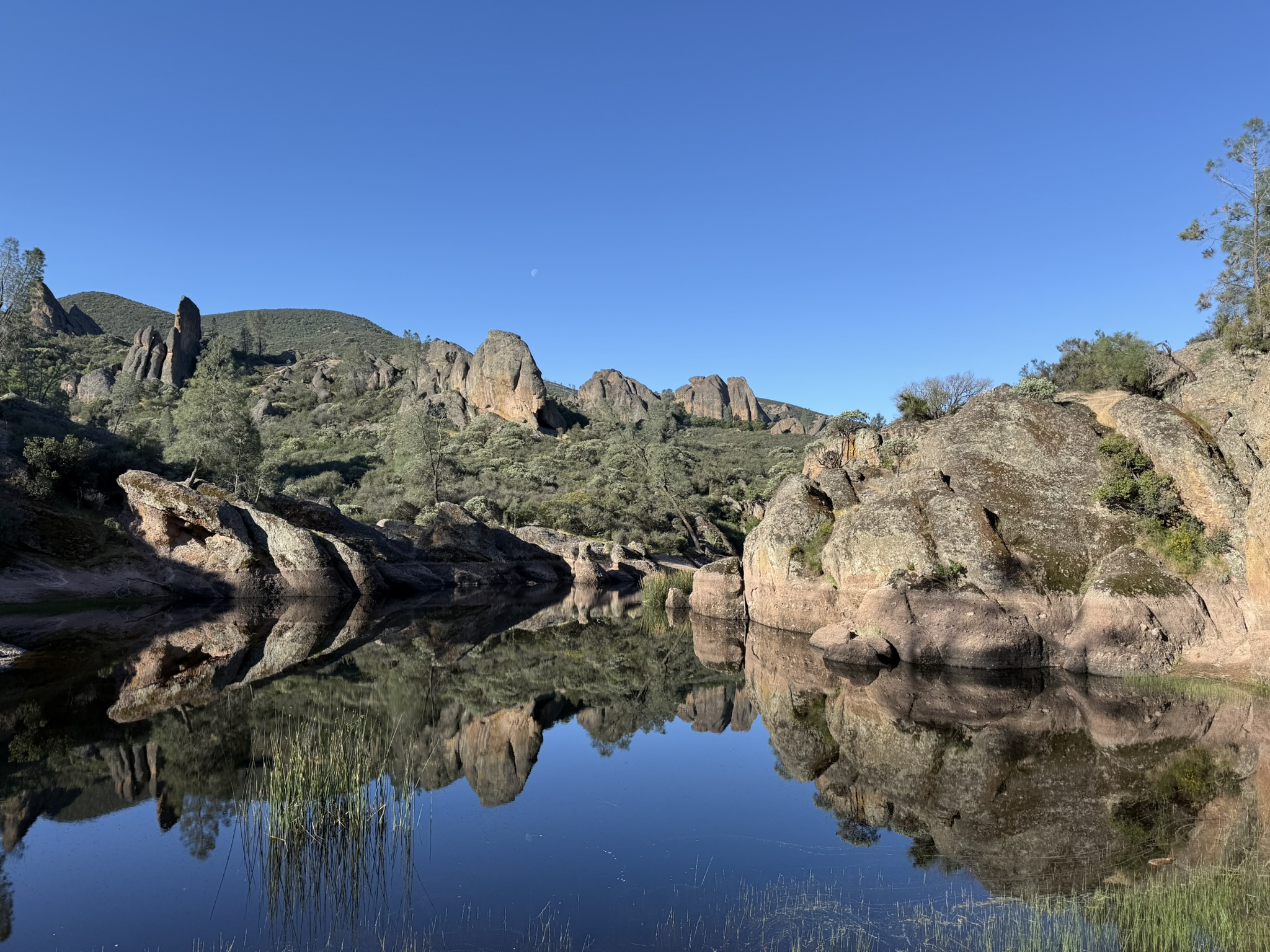 Pinnacles National Park