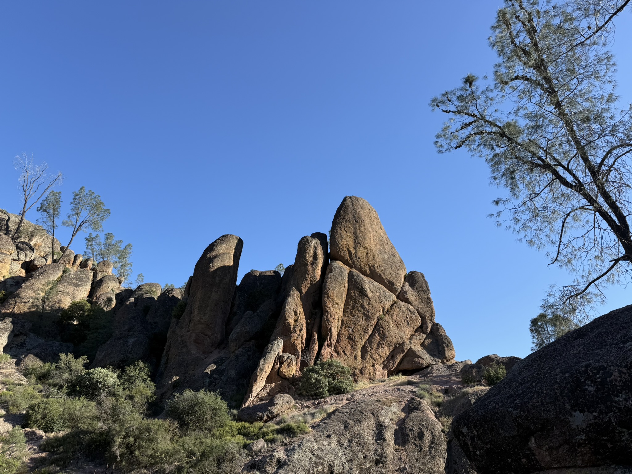 Pinnacles National Park