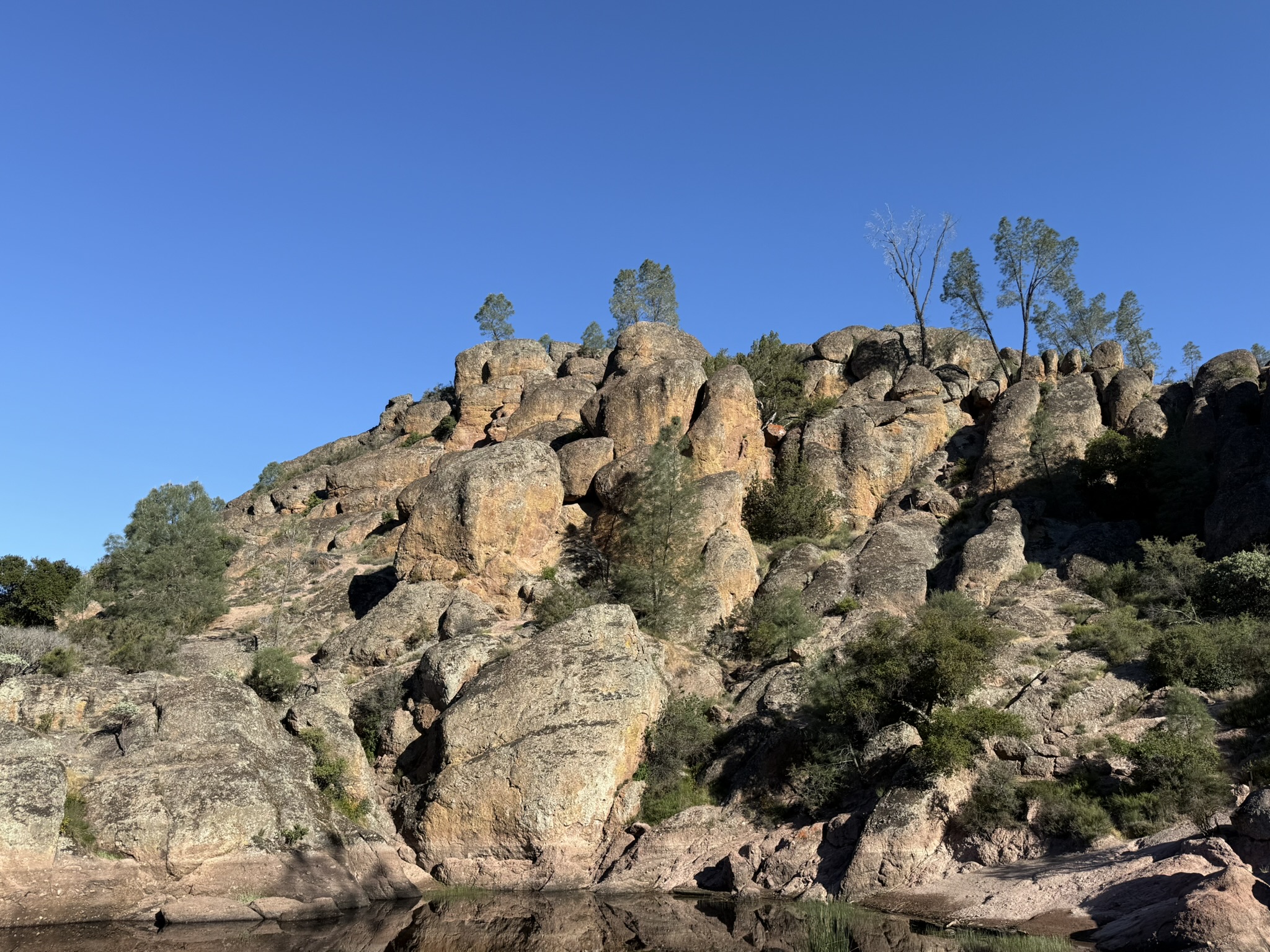 Pinnacles National Park