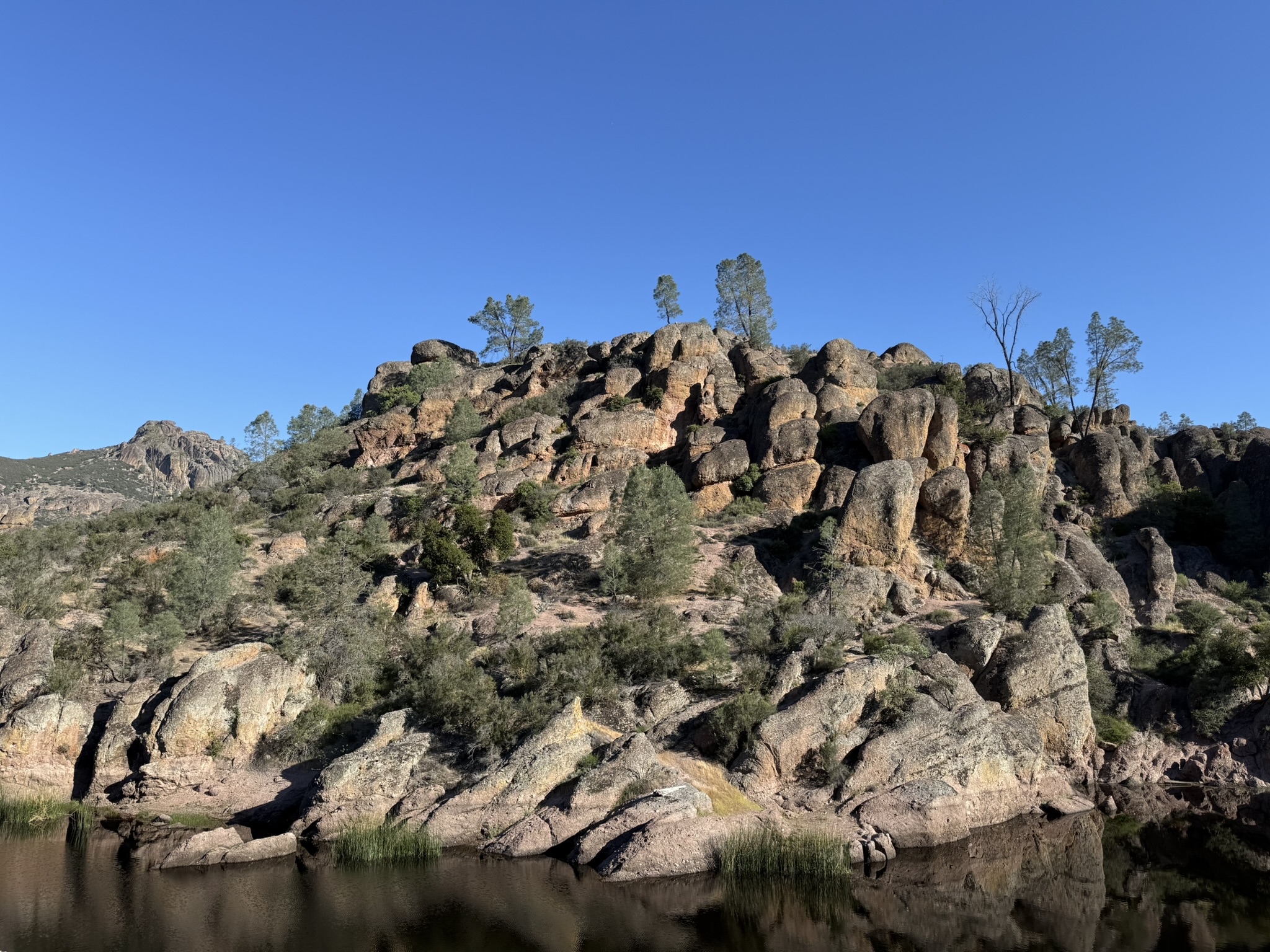 Pinnacles National Park