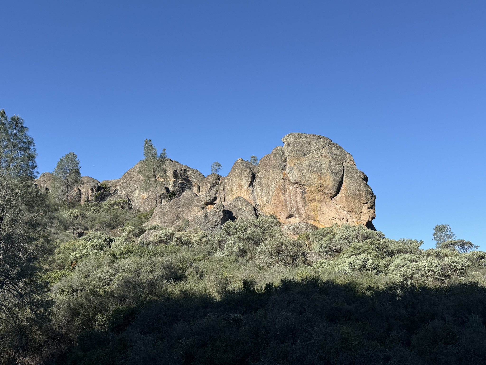 Pinnacles National Park