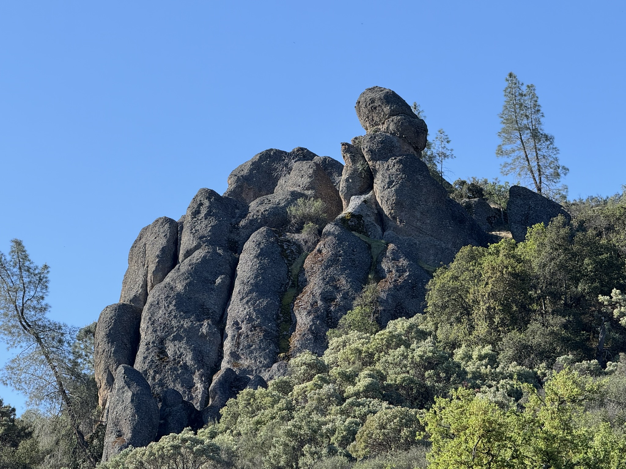 Pinnacles National Park