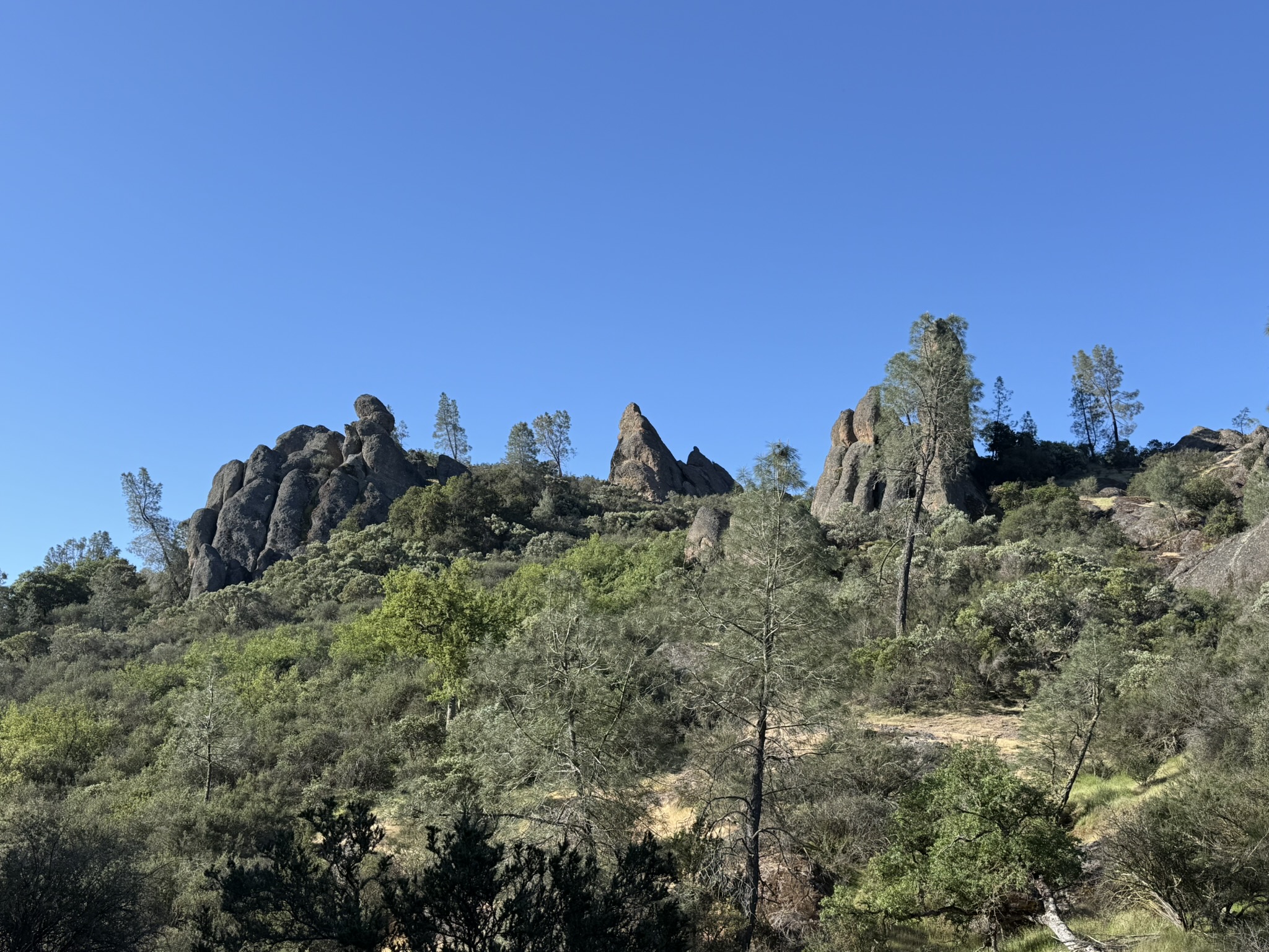 Pinnacles National Park