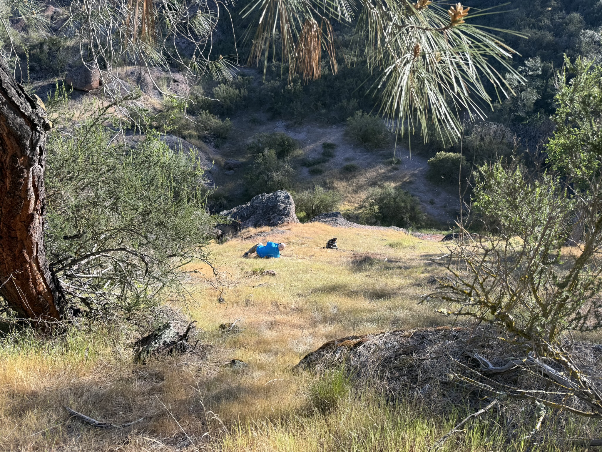 Pinnacles National Park