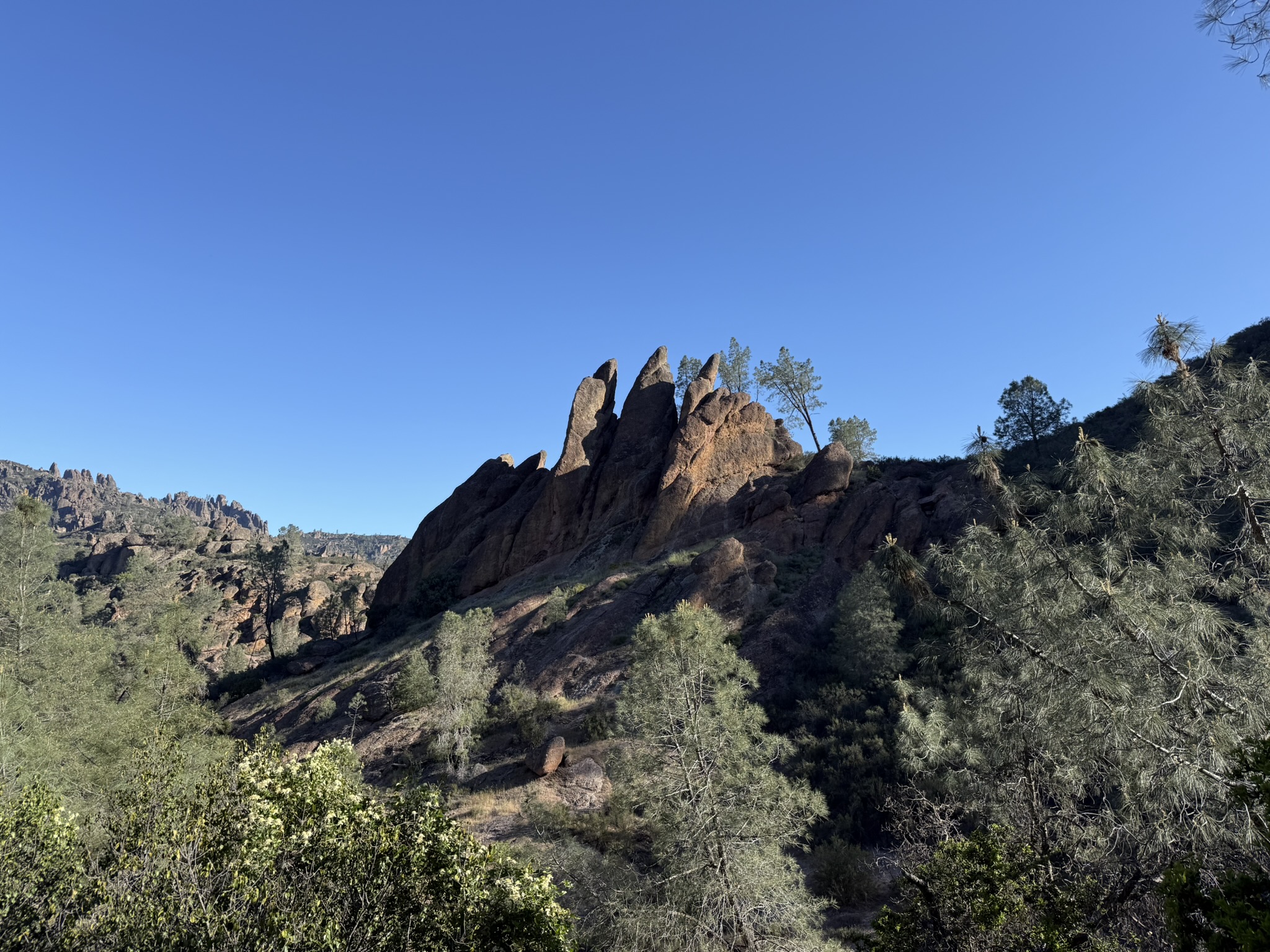 Pinnacles National Park
