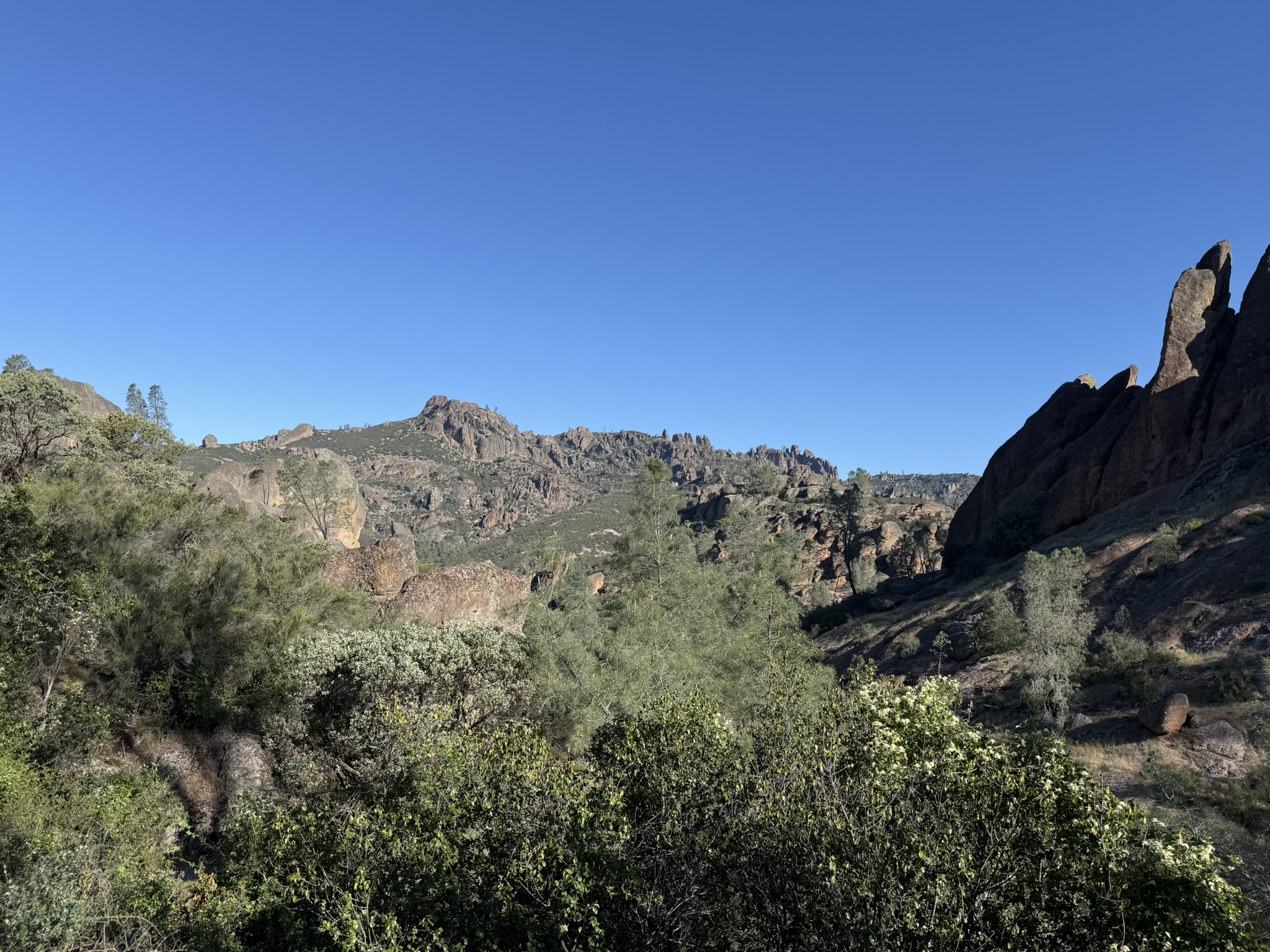 Pinnacles National Park