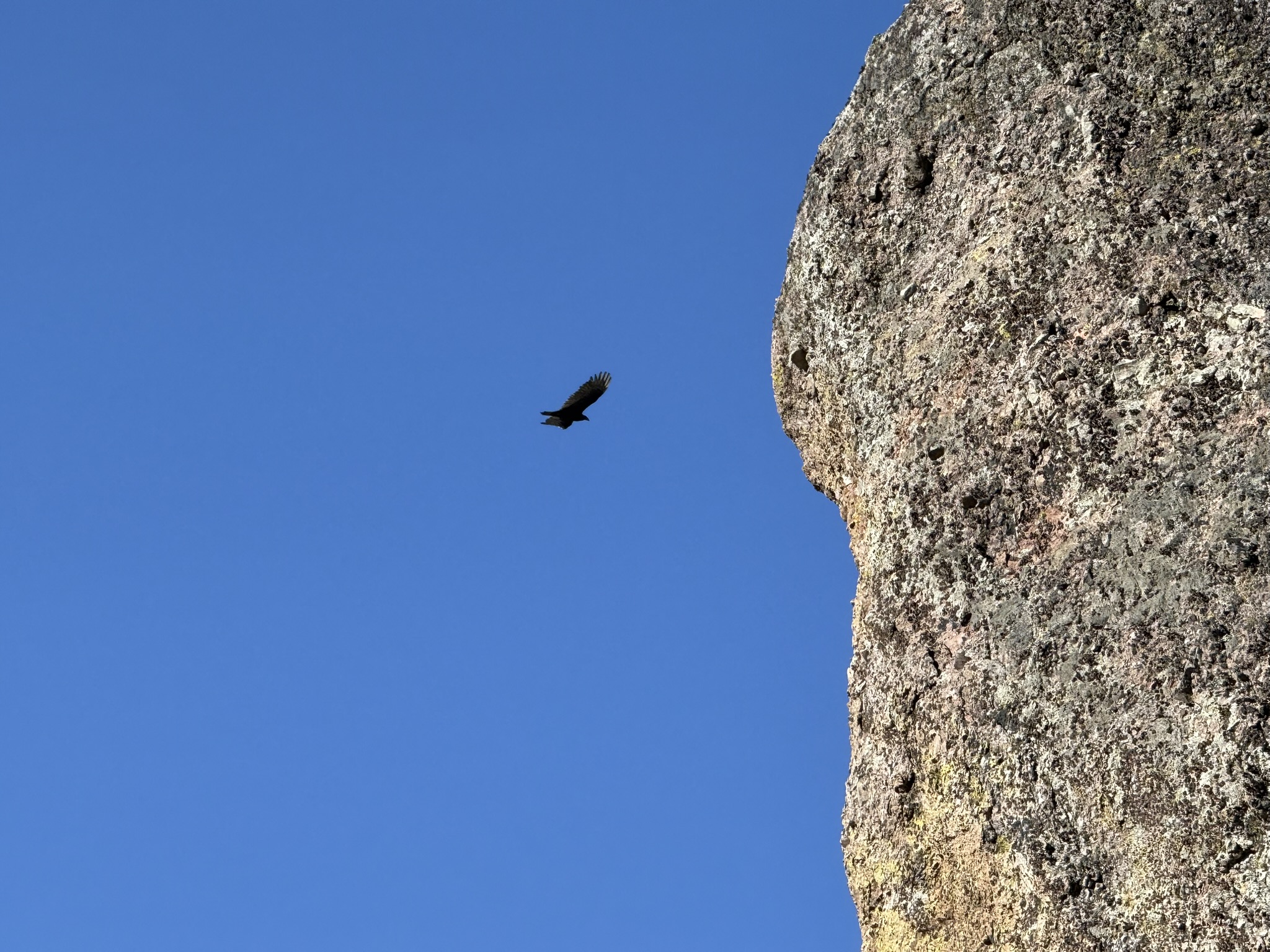Pinnacles National Park