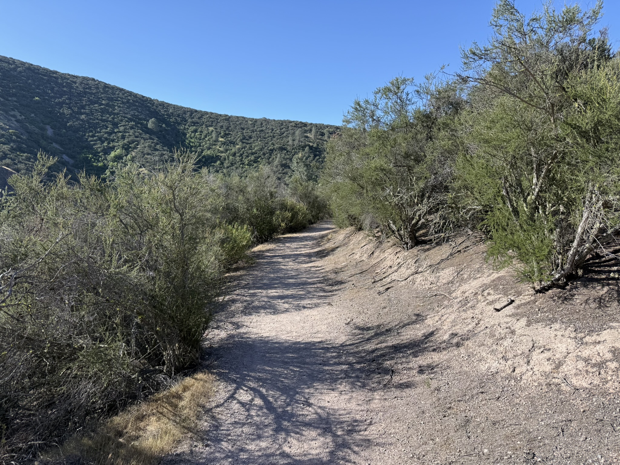 Pinnacles National Park