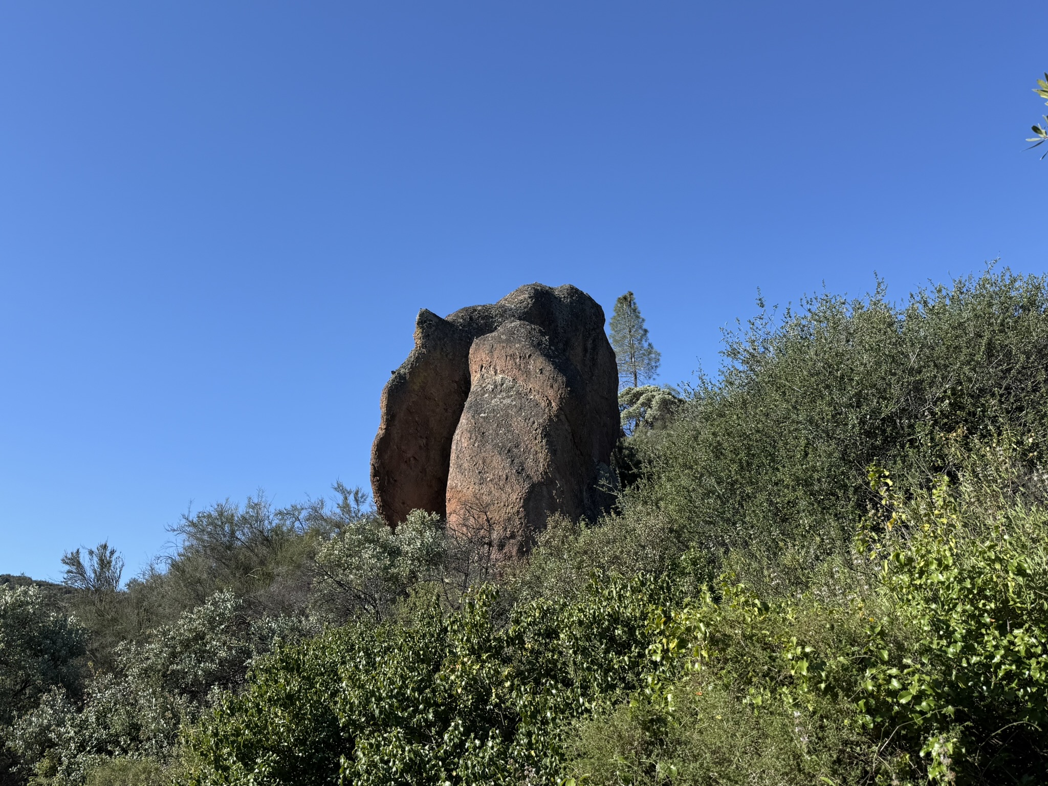 Pinnacles National Park