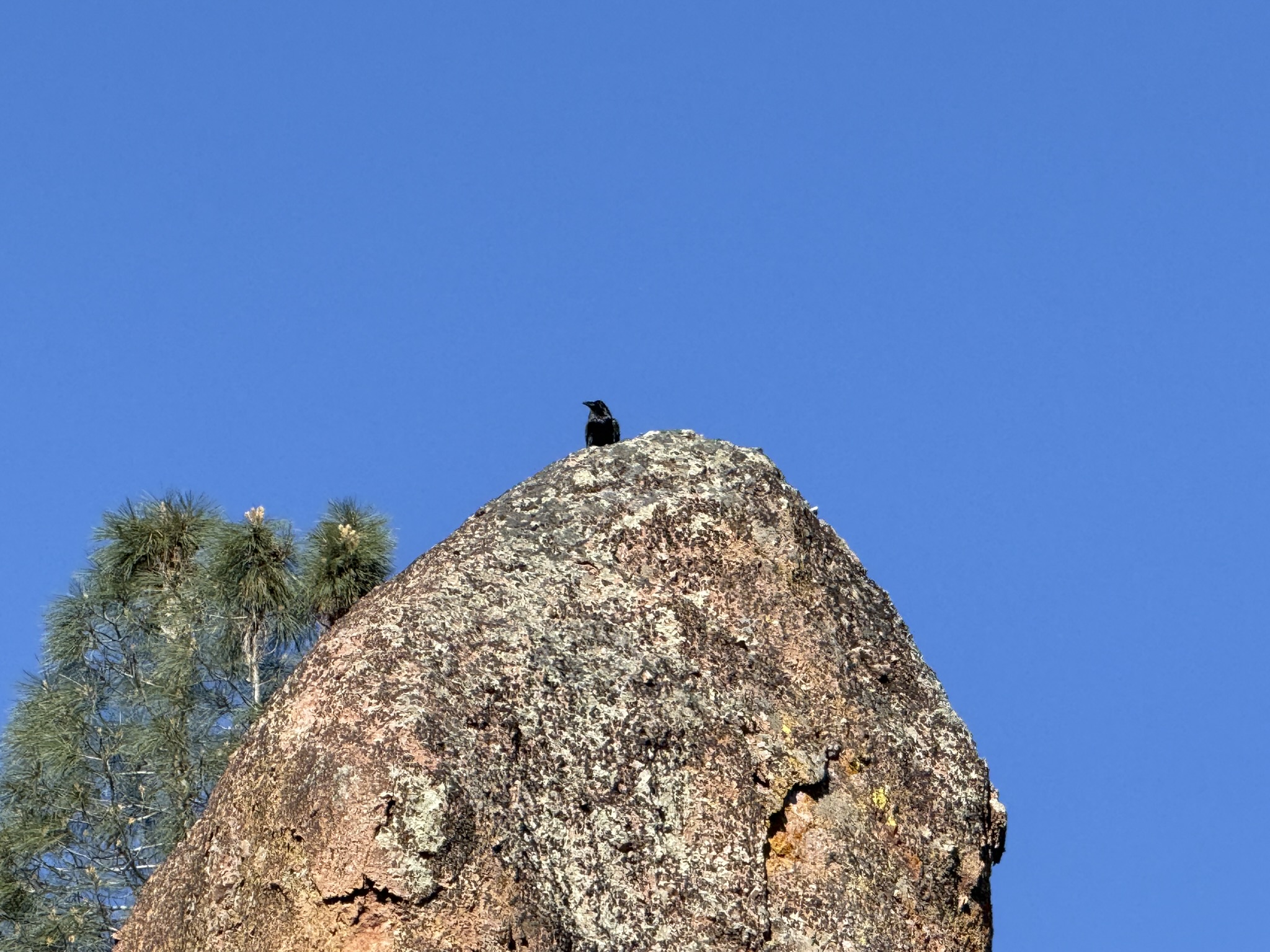 Pinnacles National Park