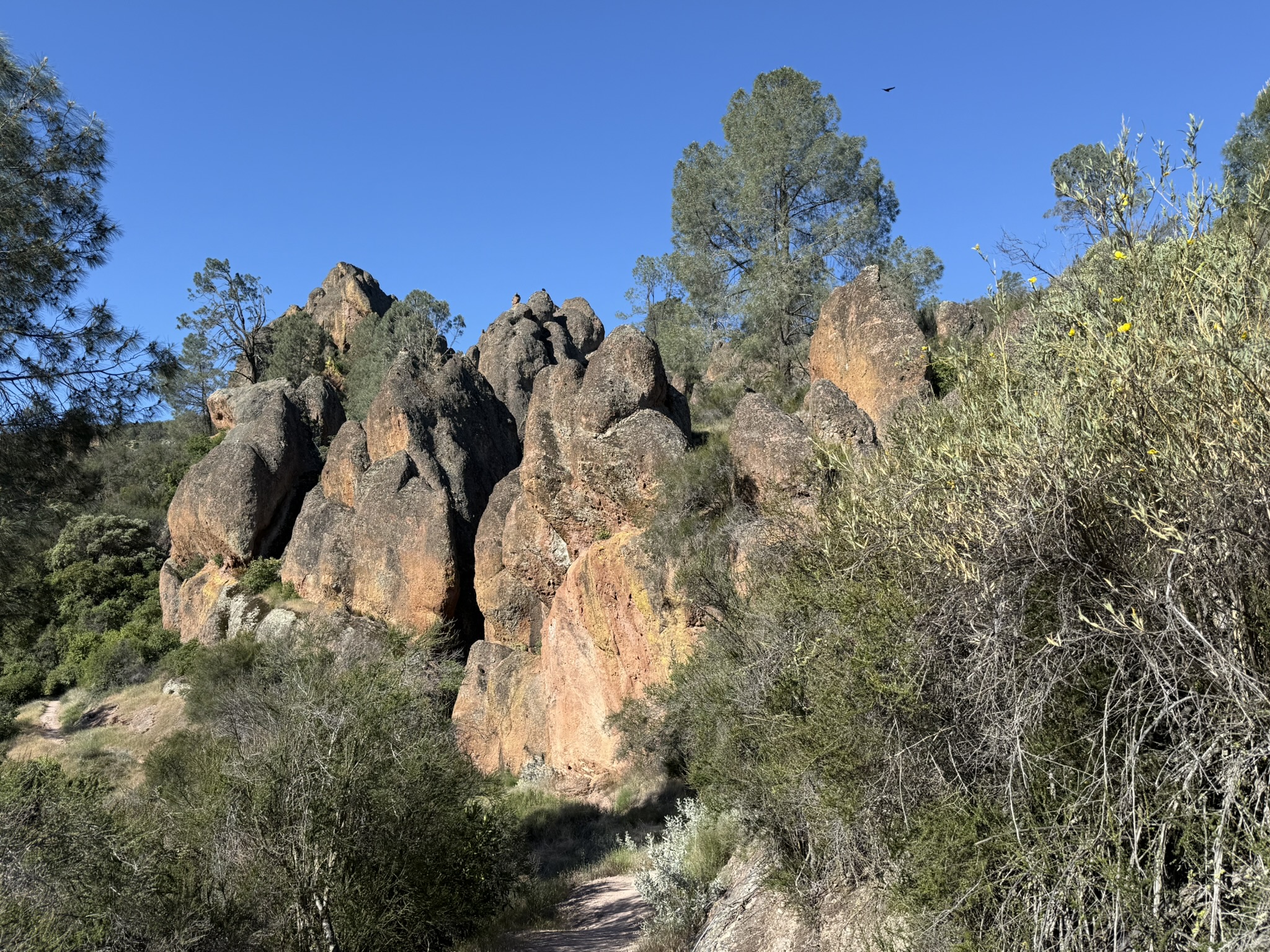 Pinnacles National Park