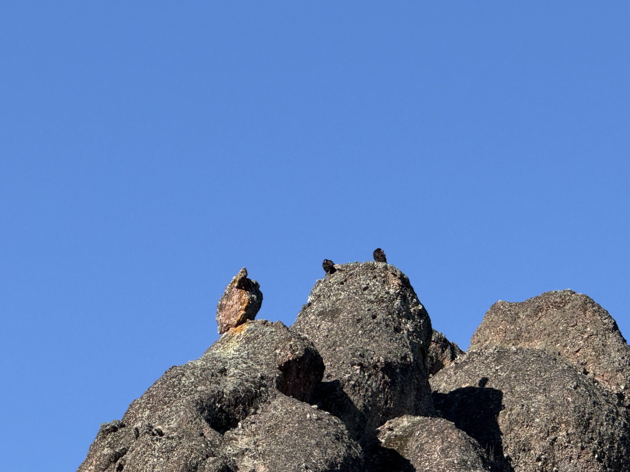 Pinnacles National Park