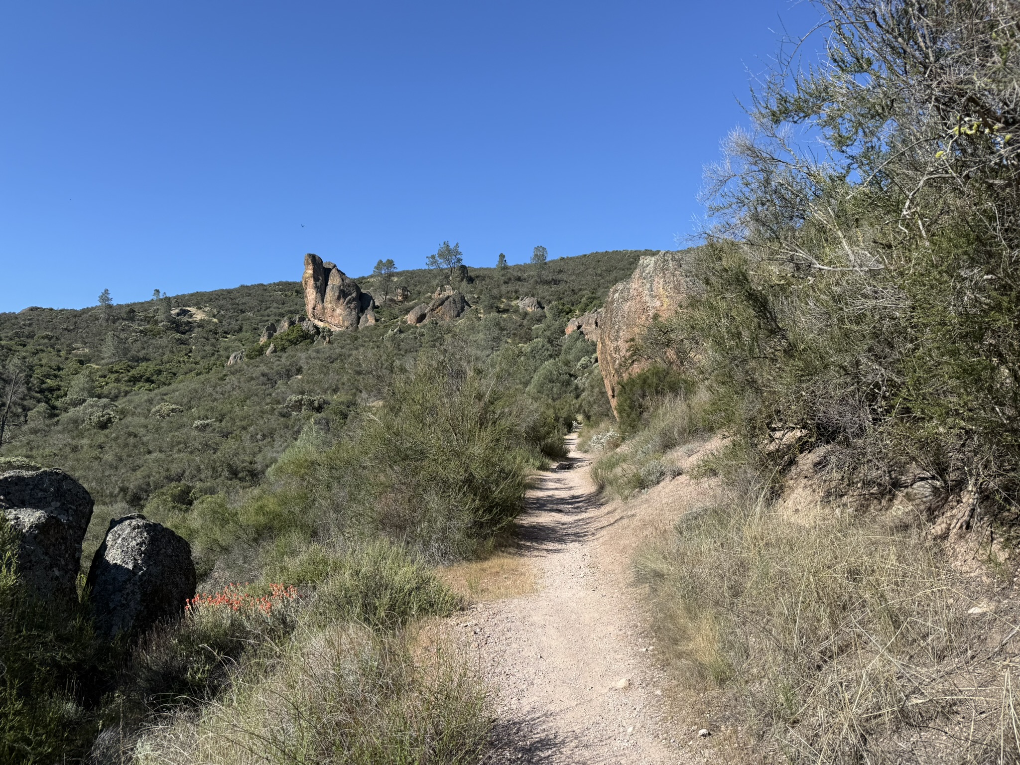 Pinnacles National Park