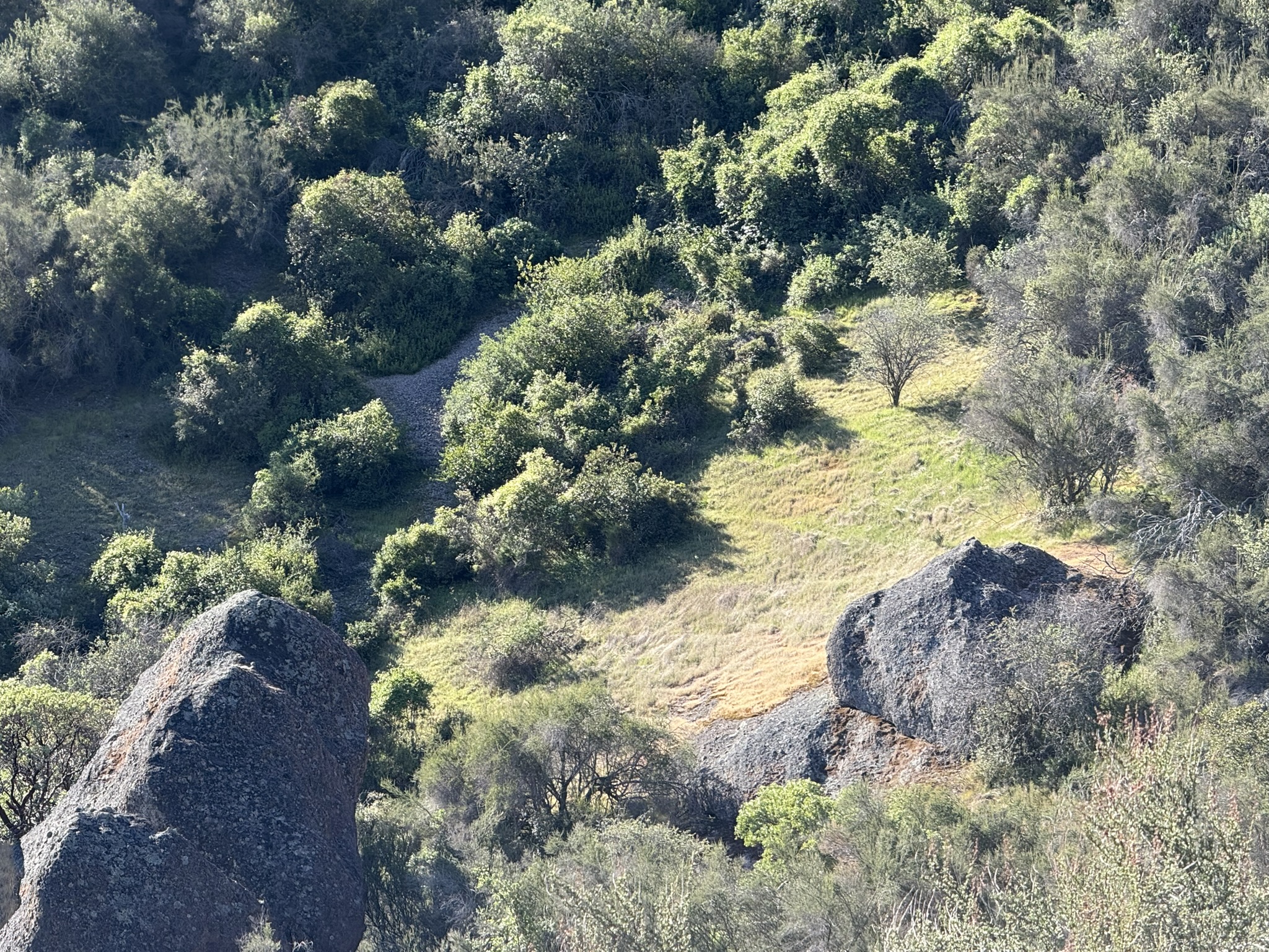Pinnacles National Park