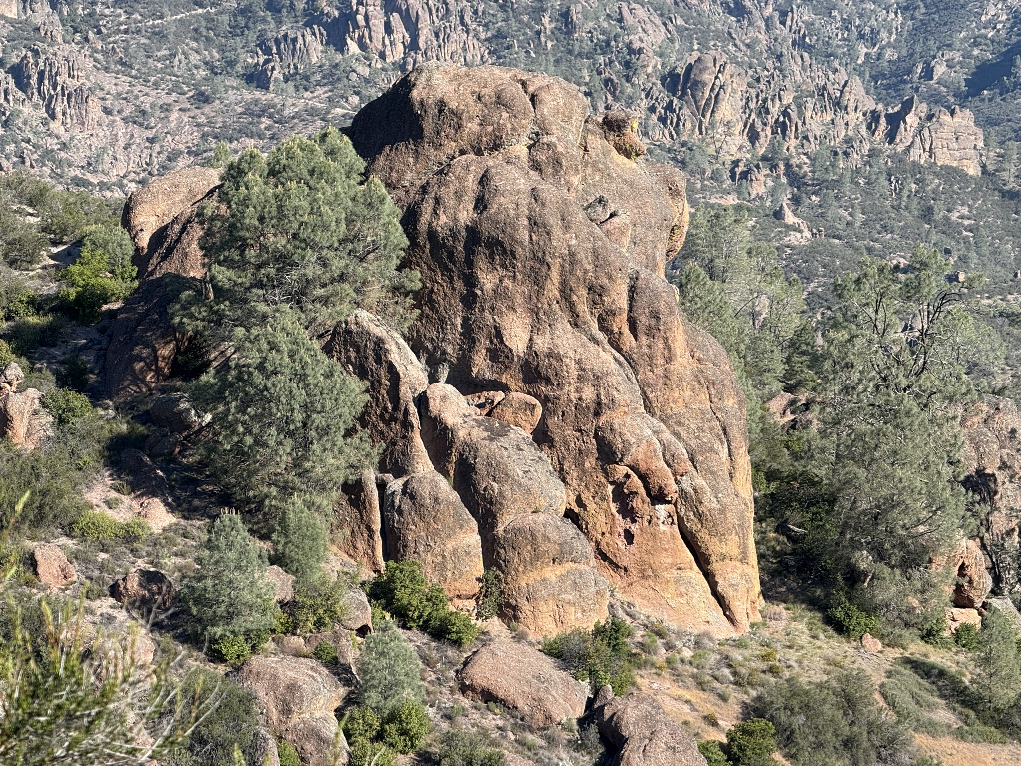 Pinnacles National Park