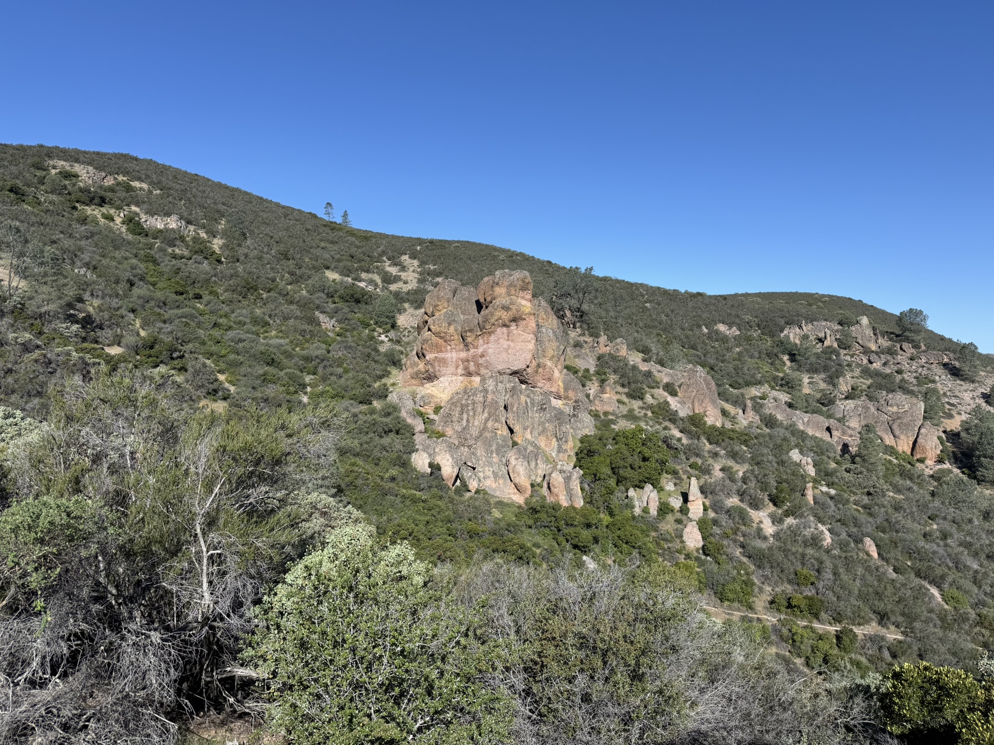 Pinnacles National Park