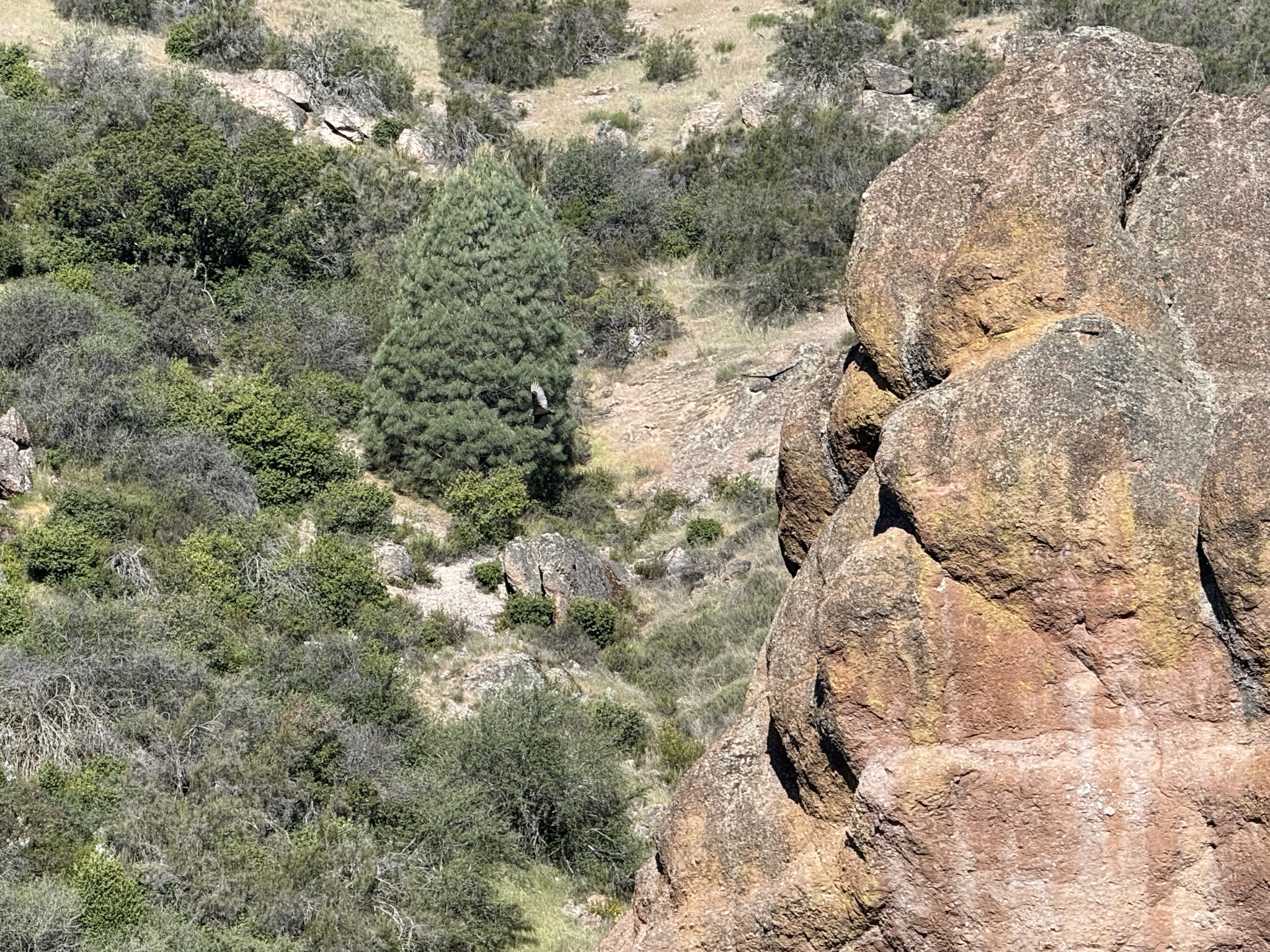 Pinnacles National Park