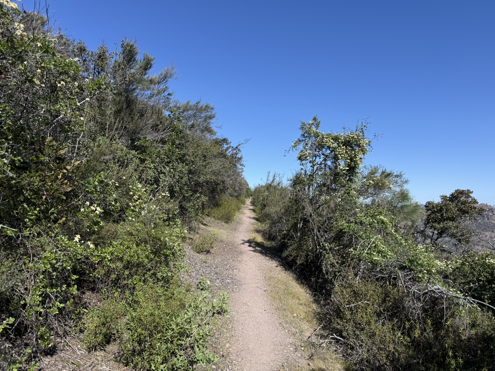 Pinnacles National Park