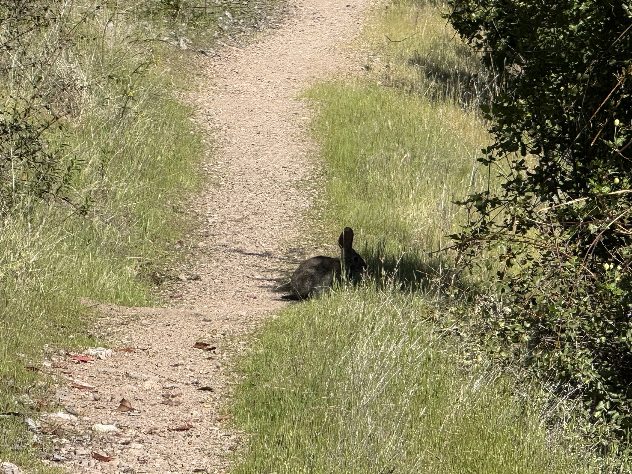 Pinnacles National Park