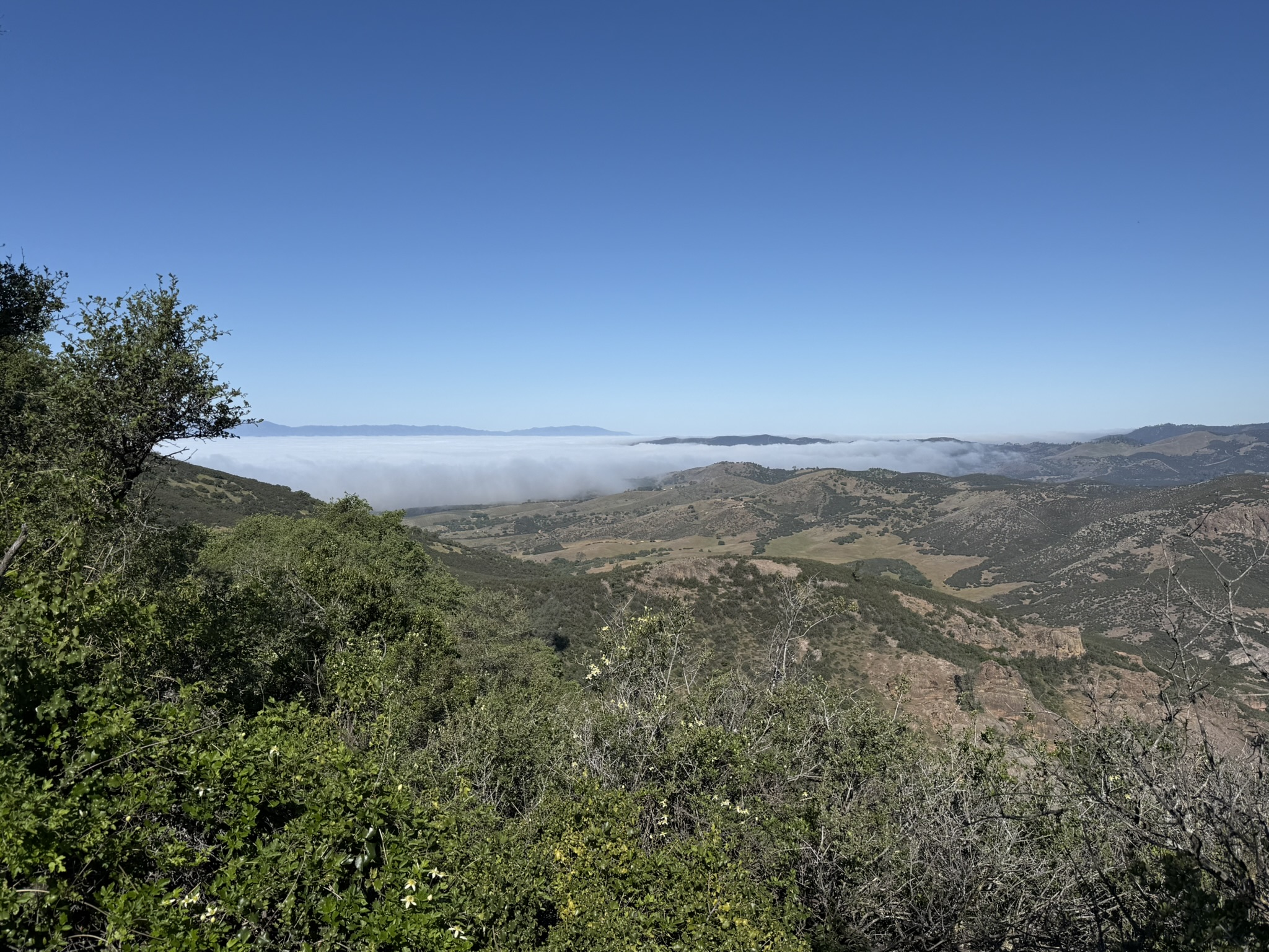 Pinnacles National Park