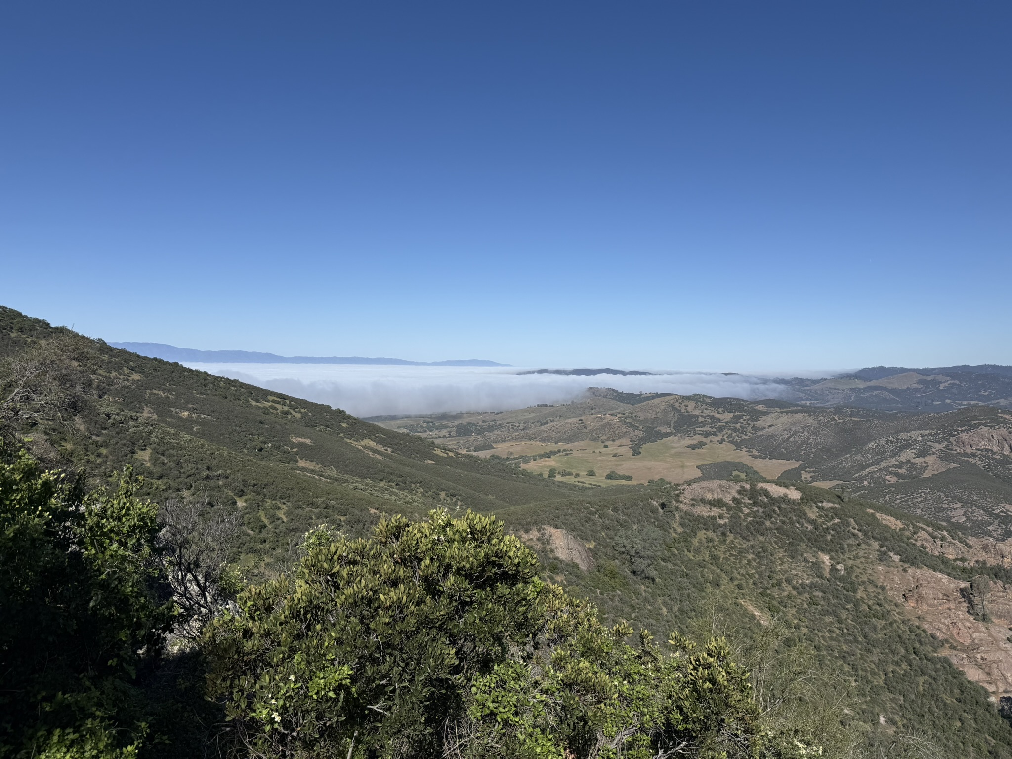 Pinnacles National Park
