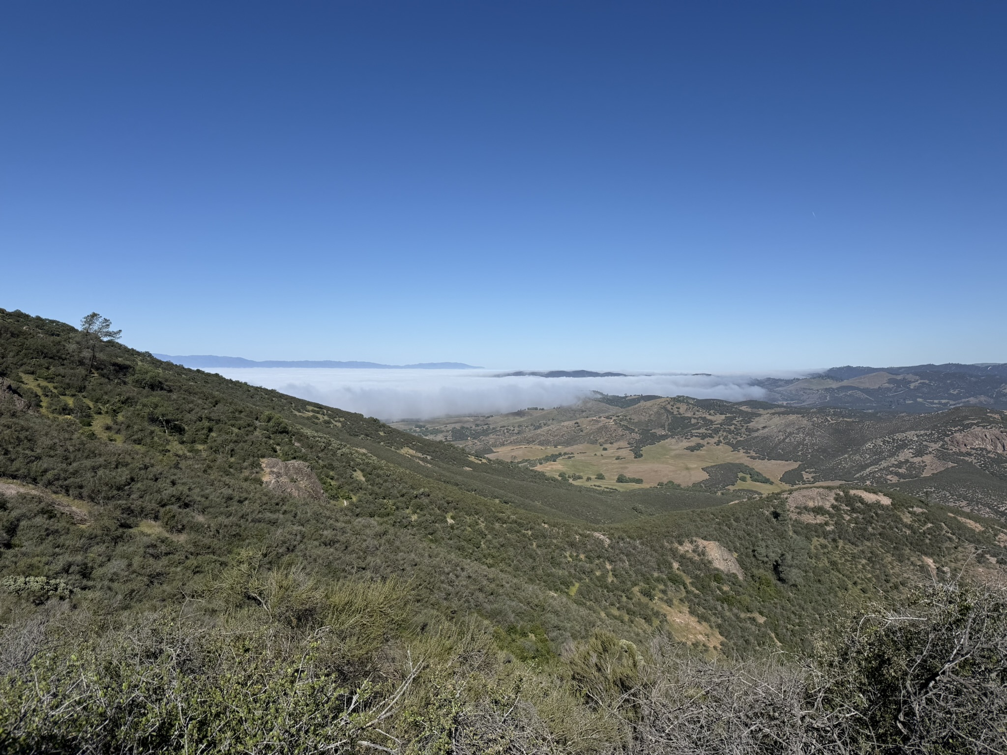 Pinnacles National Park