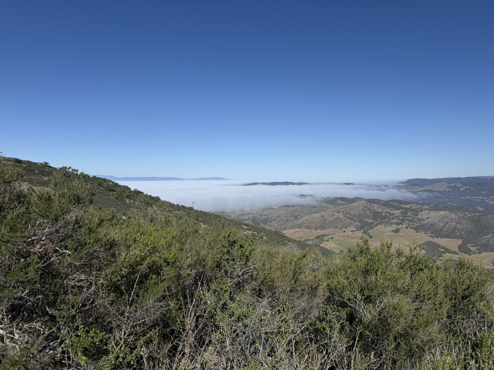 Pinnacles National Park