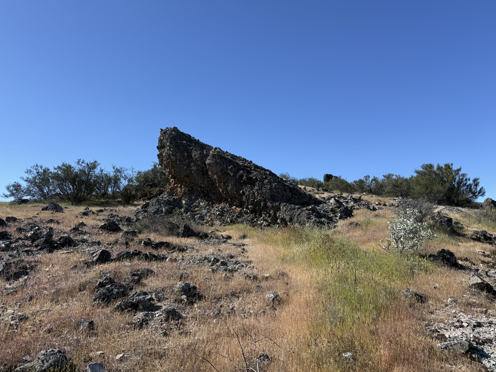 Pinnacles National Park