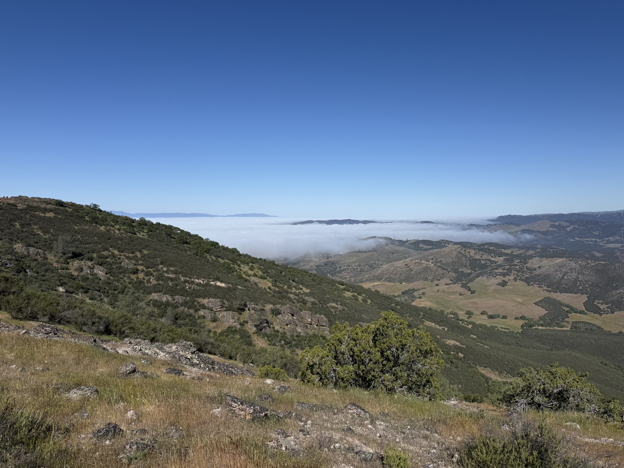 Pinnacles National Park