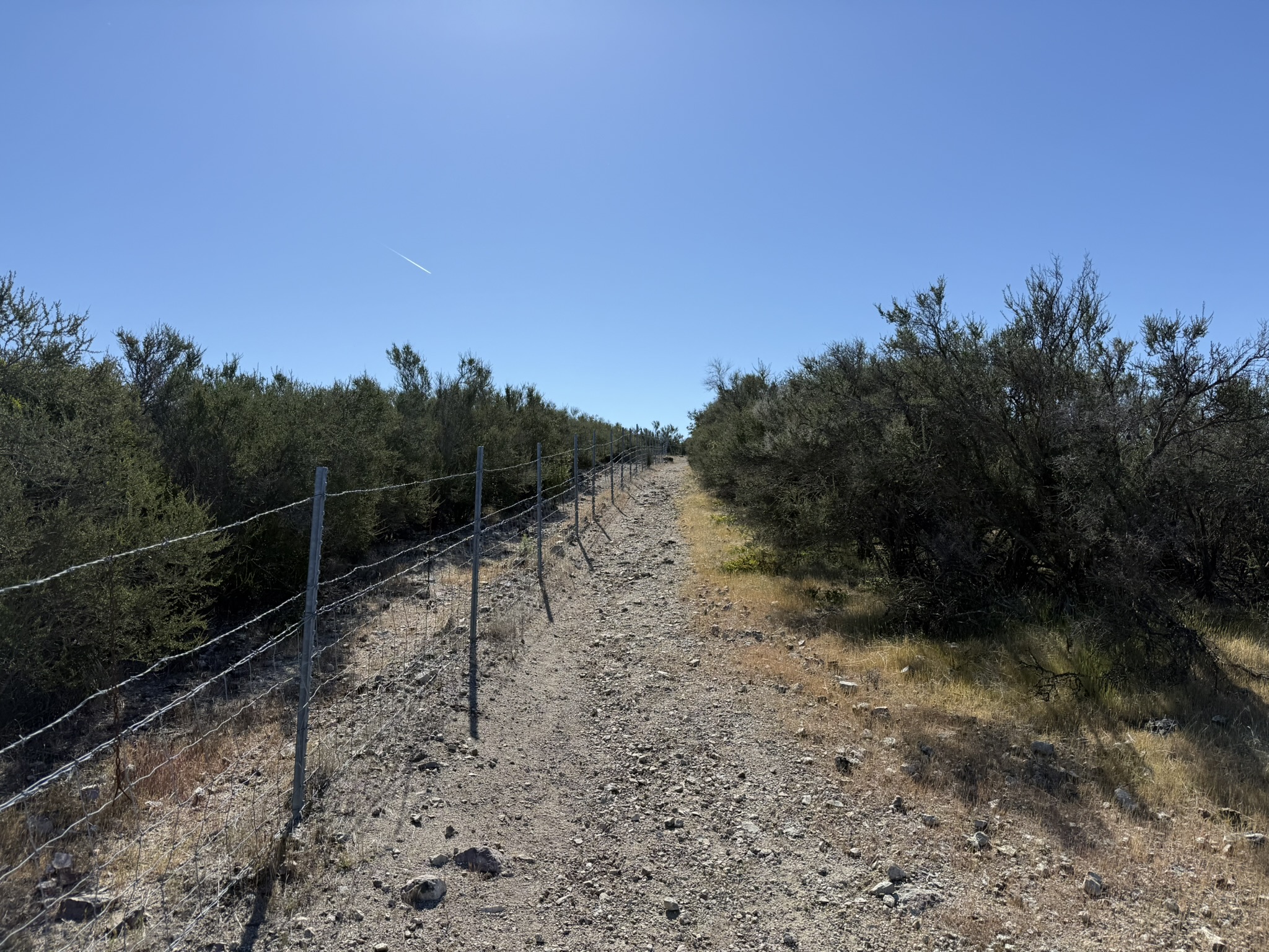Pinnacles National Park