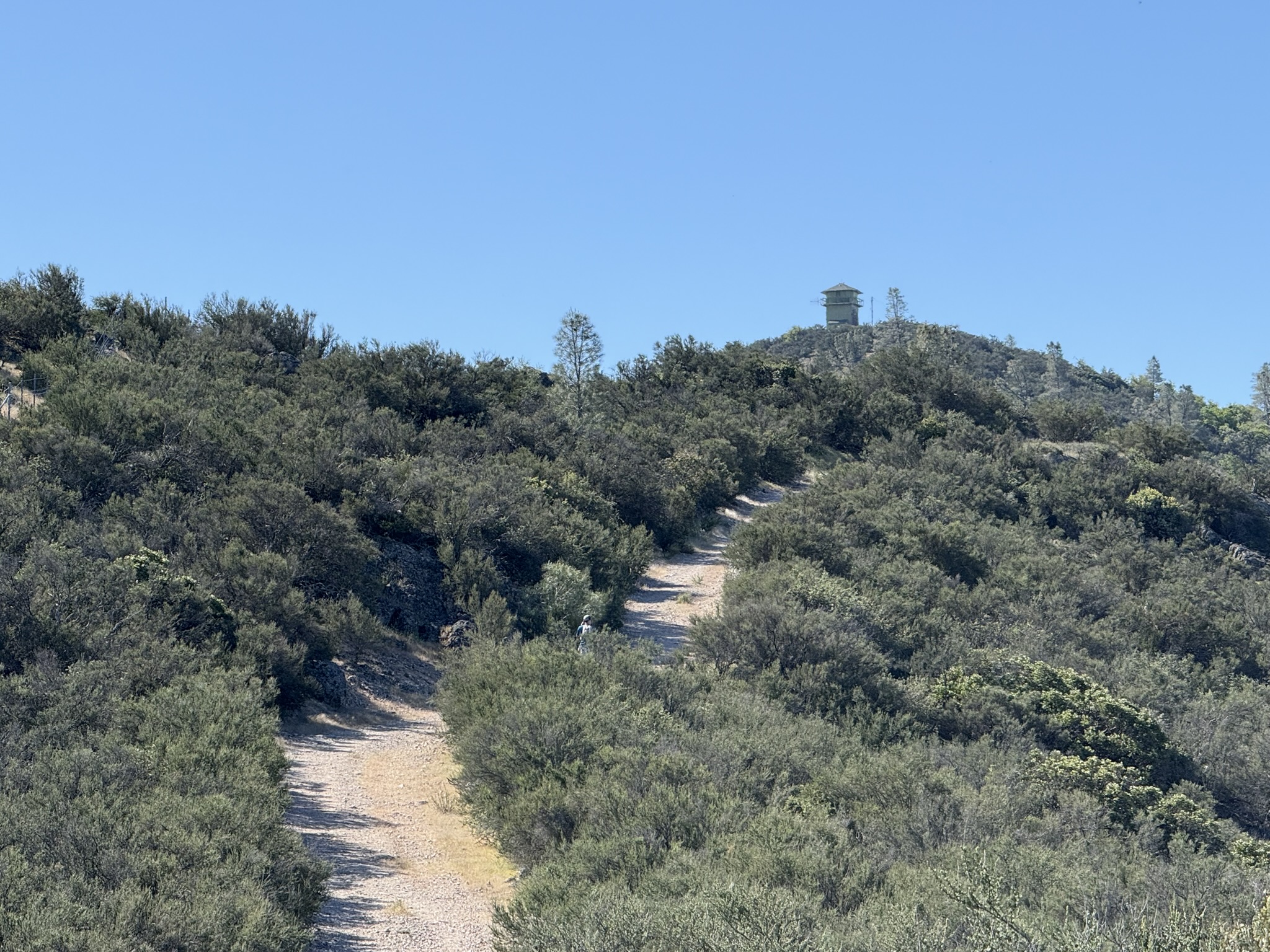 Pinnacles National Park