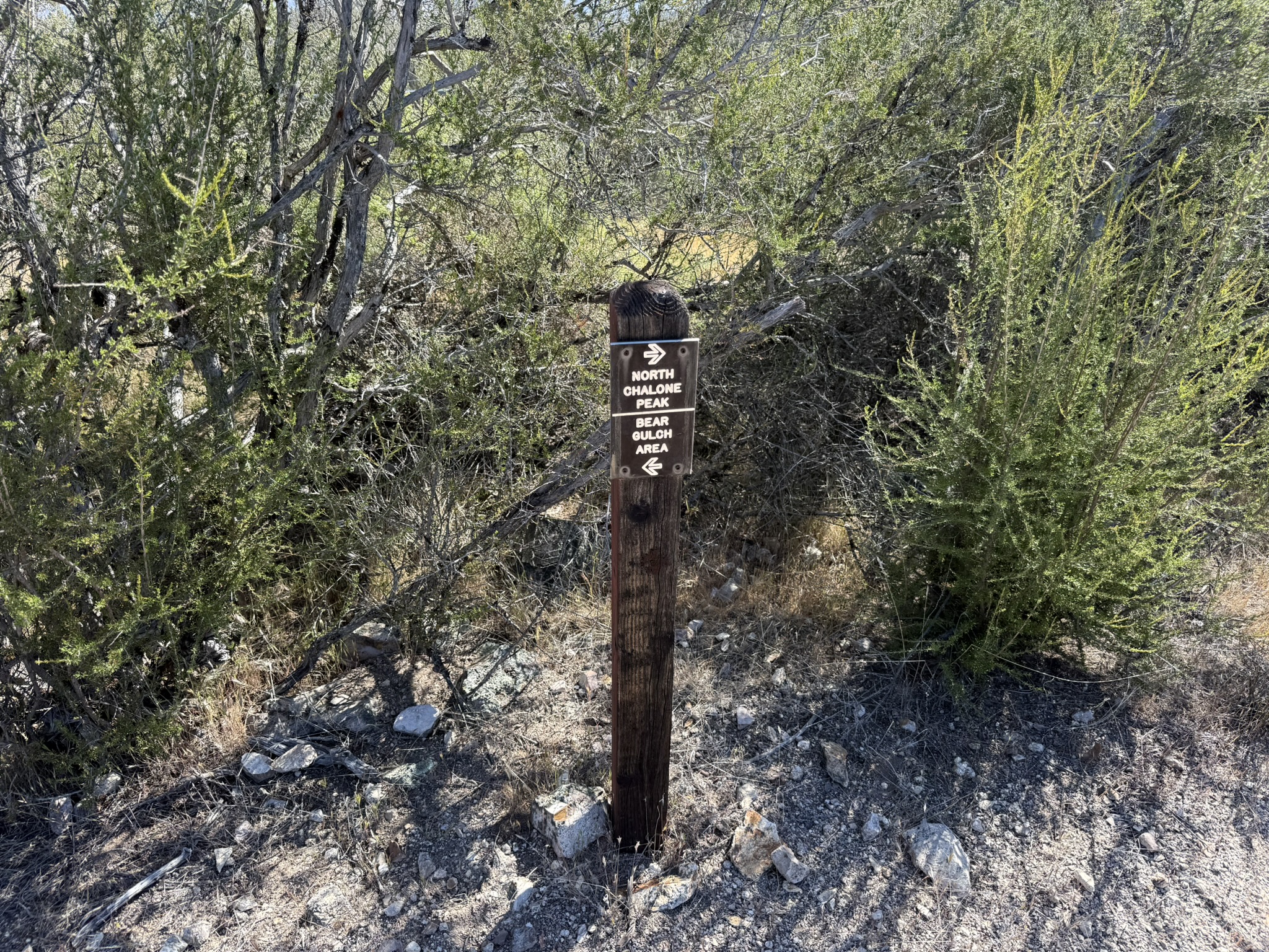 Pinnacles National Park