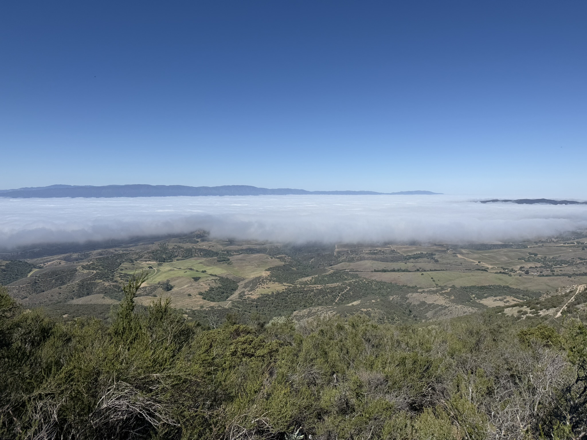 Pinnacles National Park